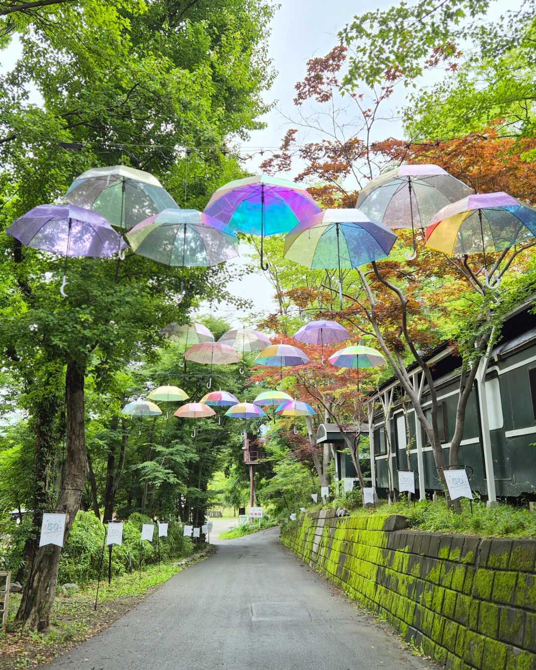 長瀞オートキャンプ場の口コミ投稿写真