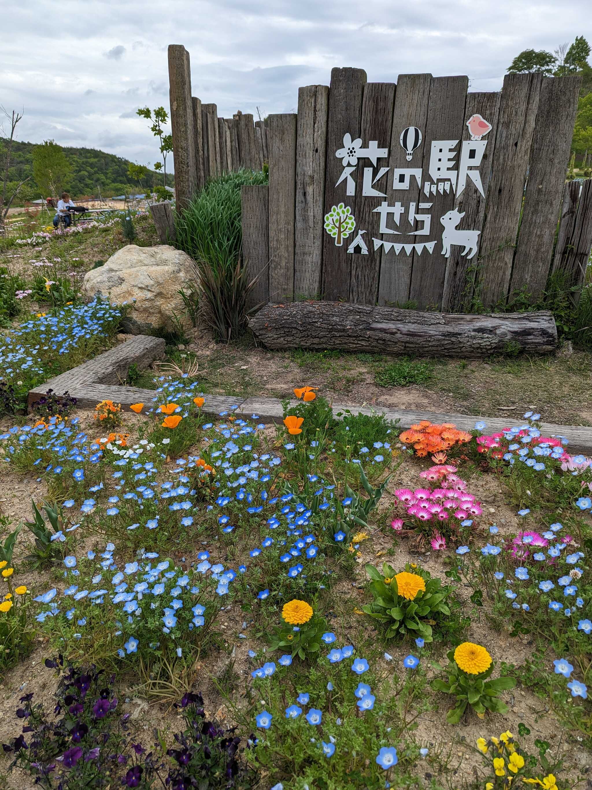 併設の花の駅