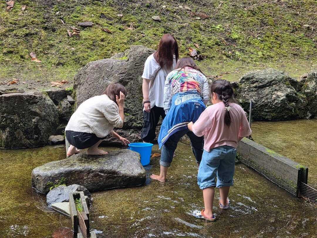 あまごの手づかみ