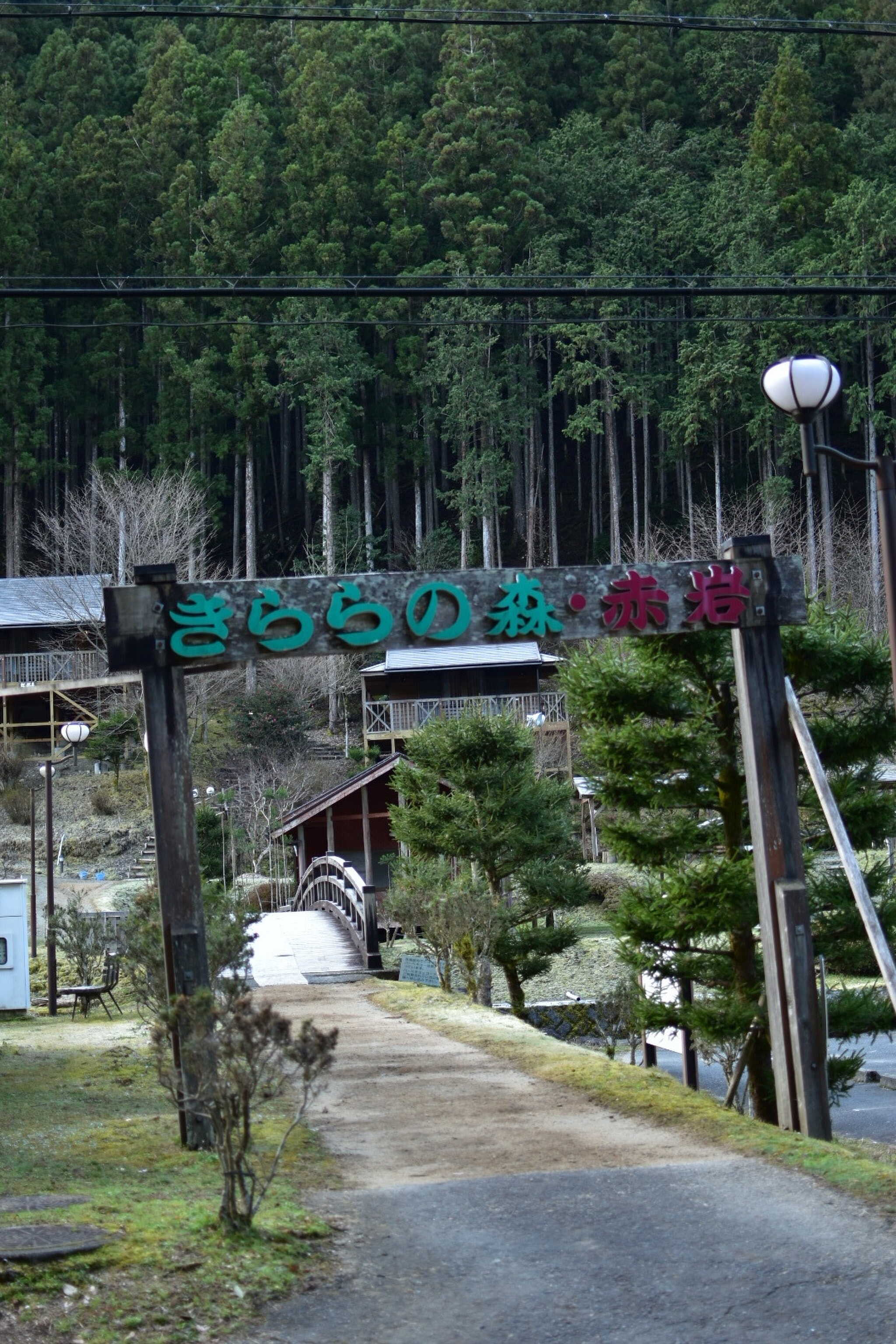 正面