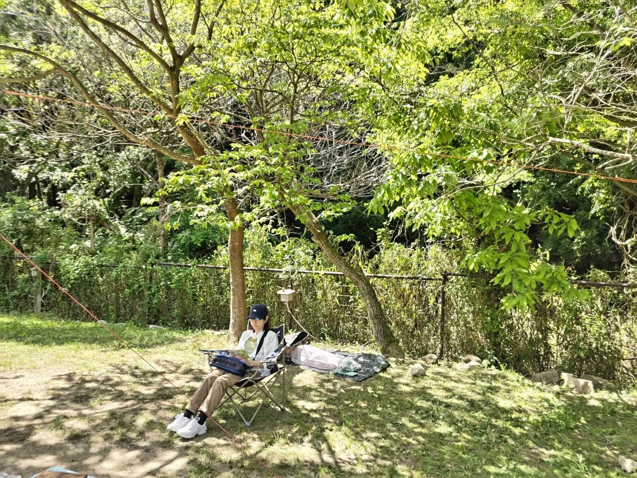 区画サイト
