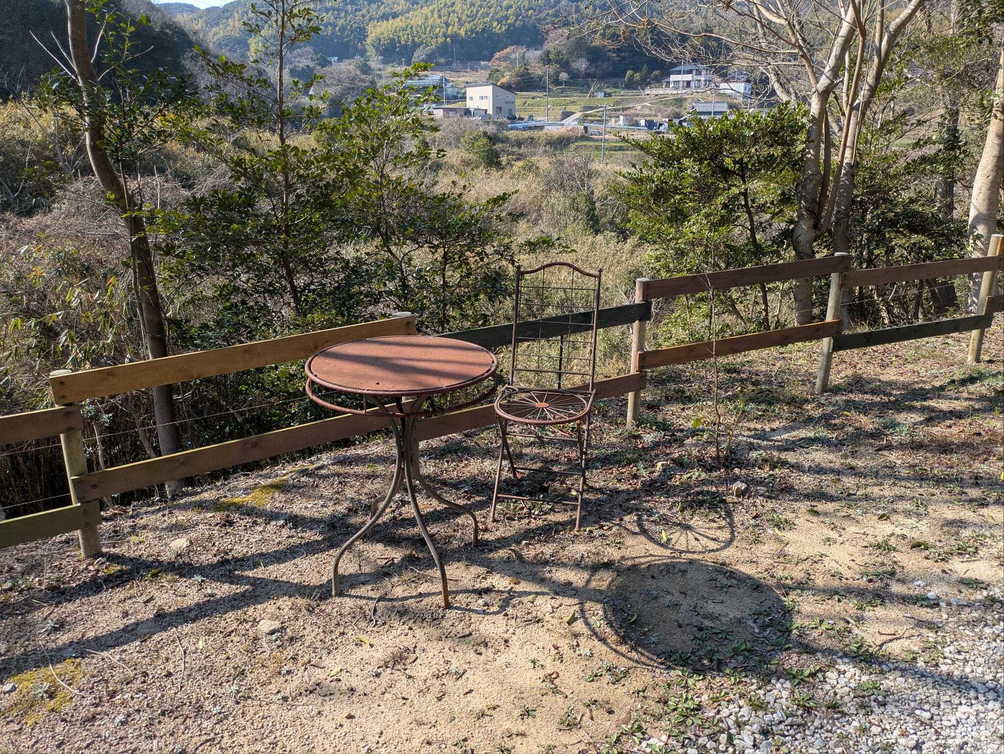 場内のようす
