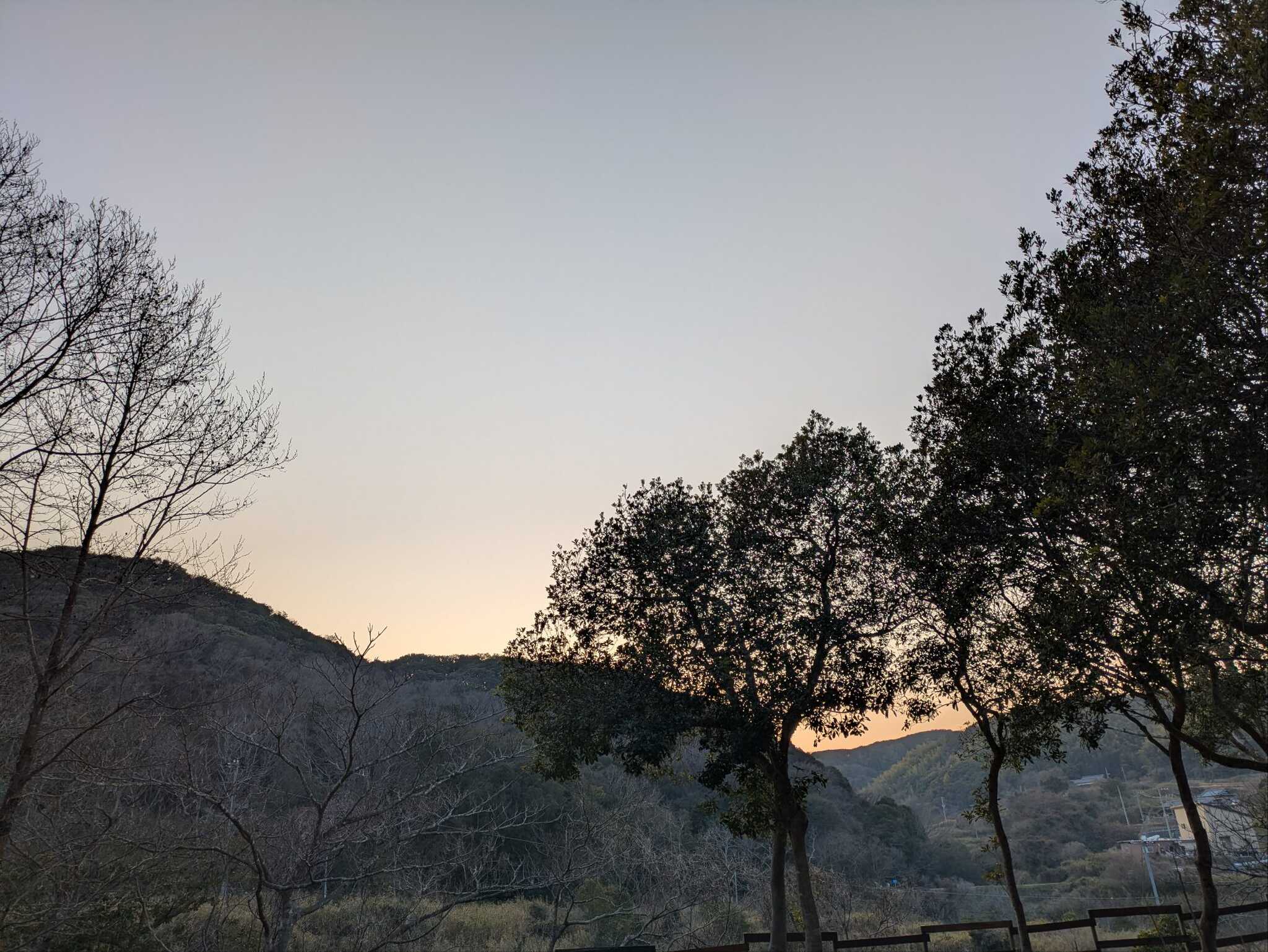 サイトからの景色