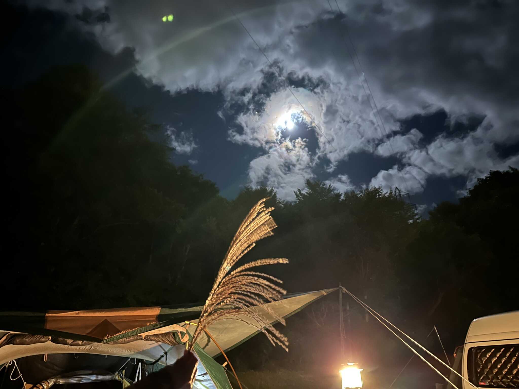 十三夜の満月の日でした