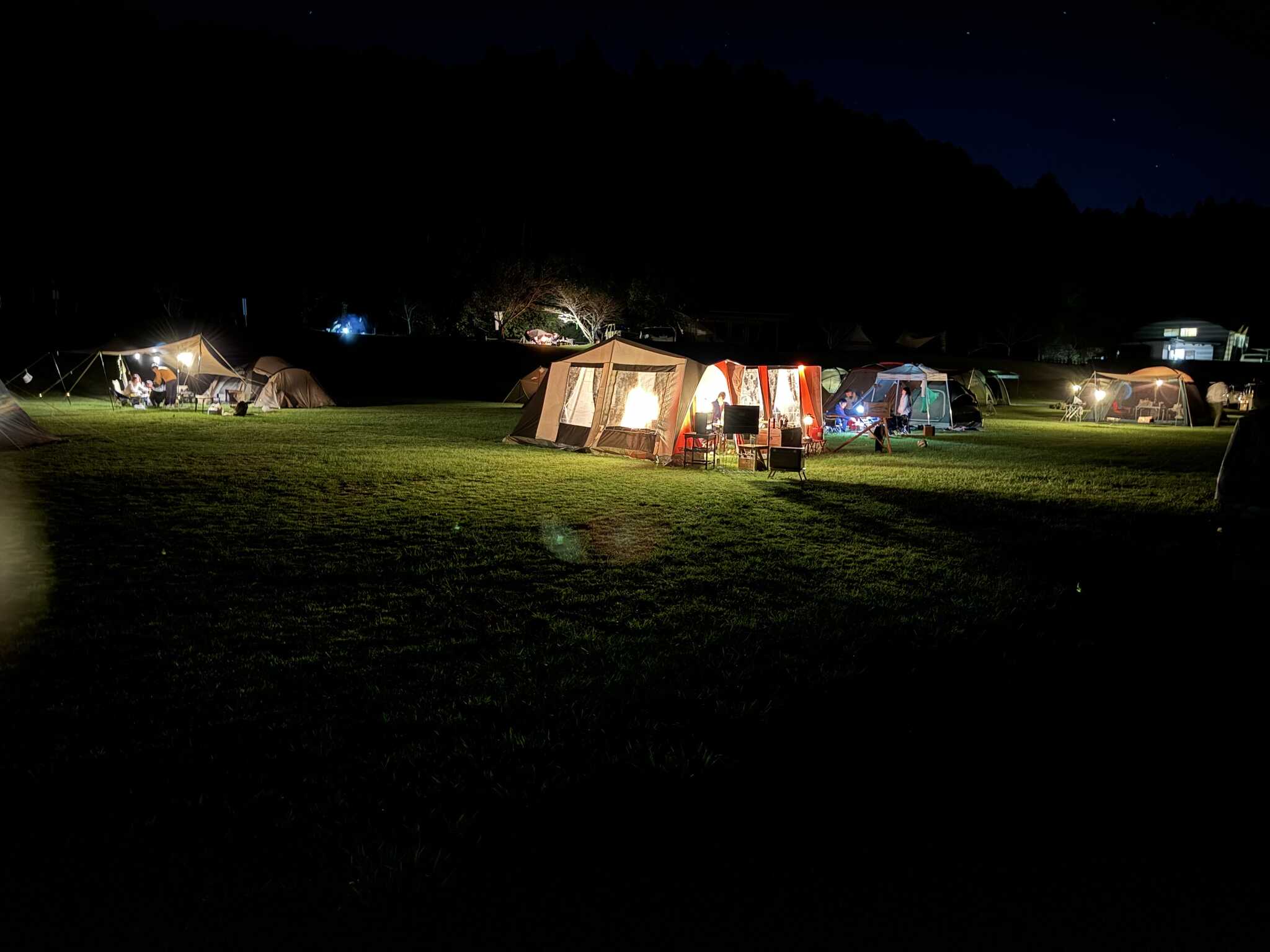 camp Night