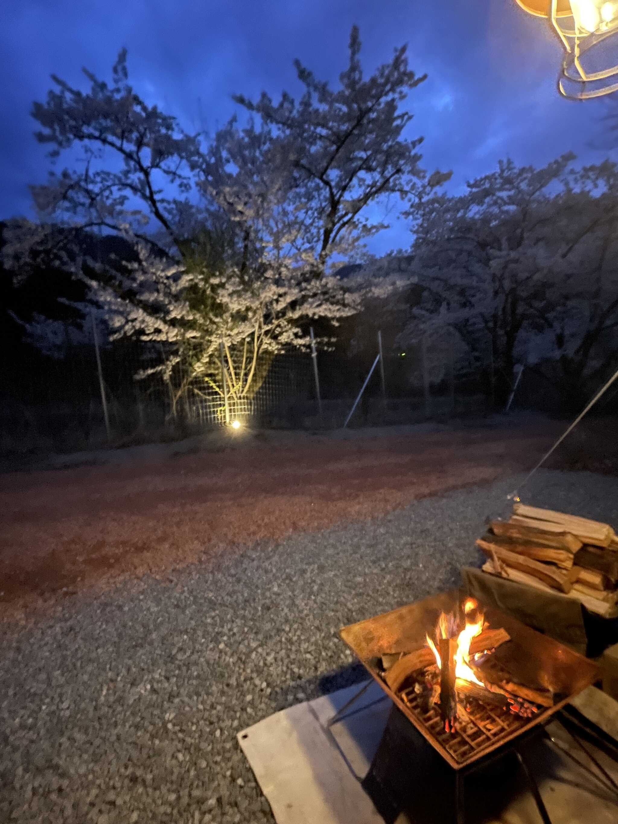 ライトアップしてみた