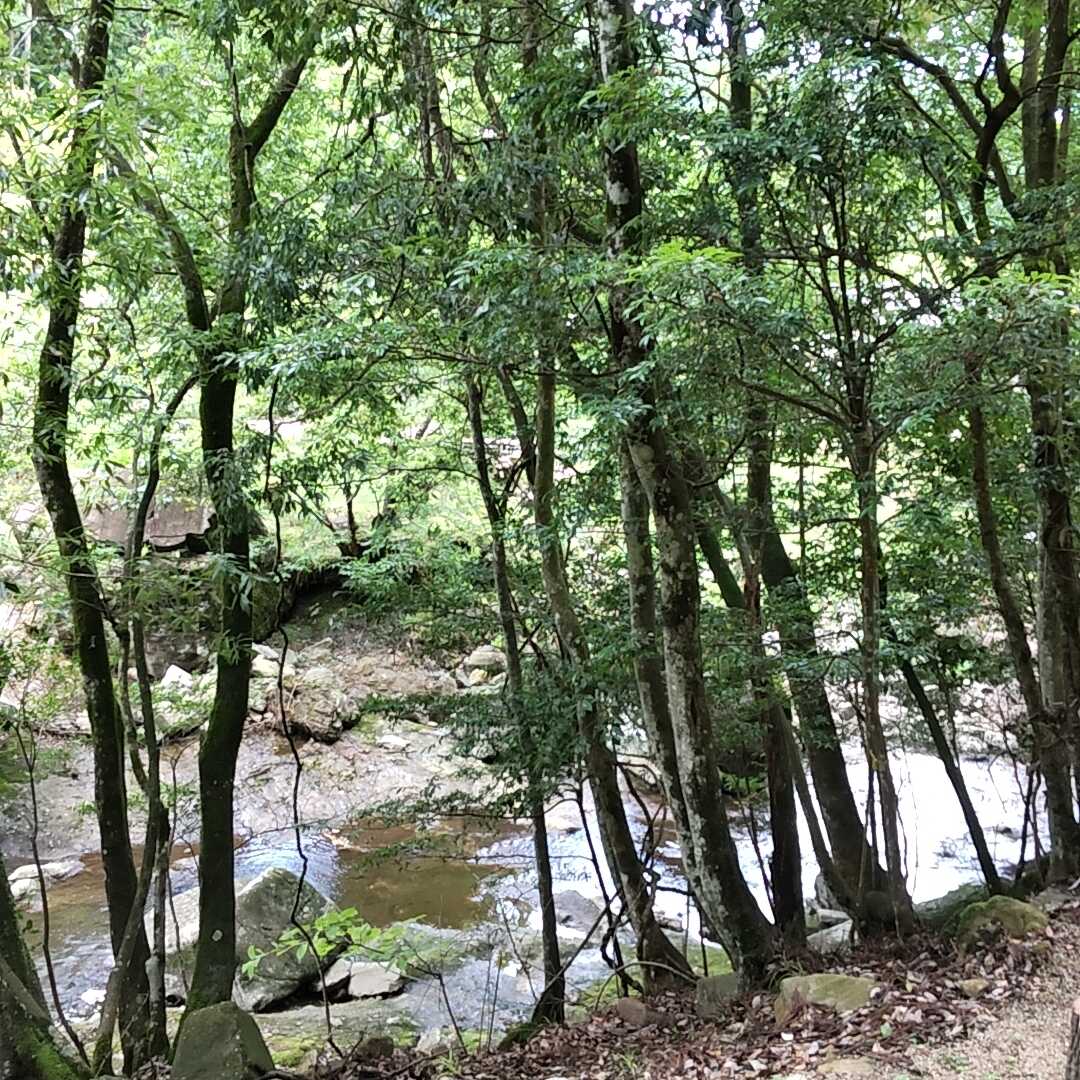 川