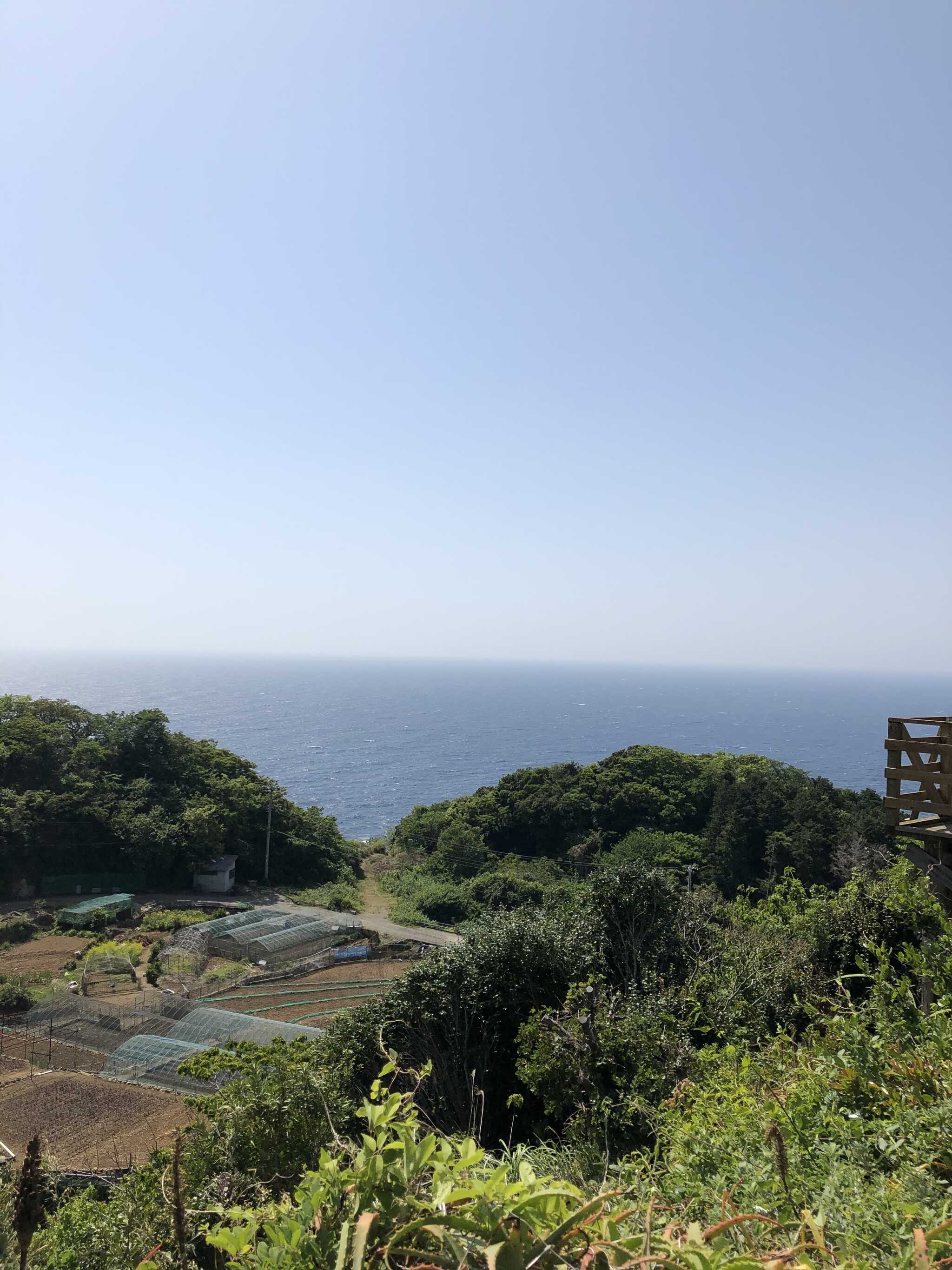 受付横から 伊豆の海