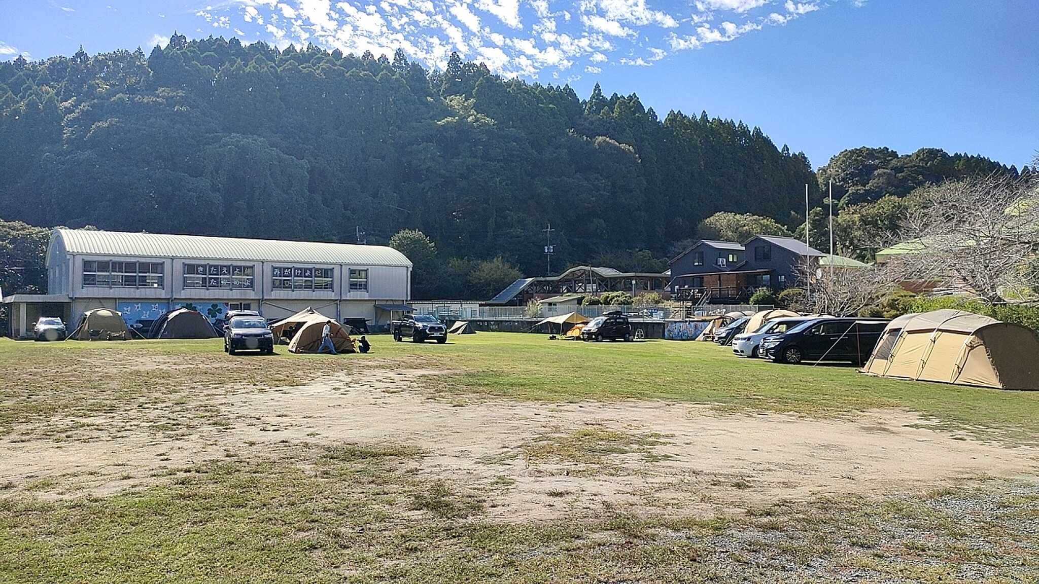 サイトの状況