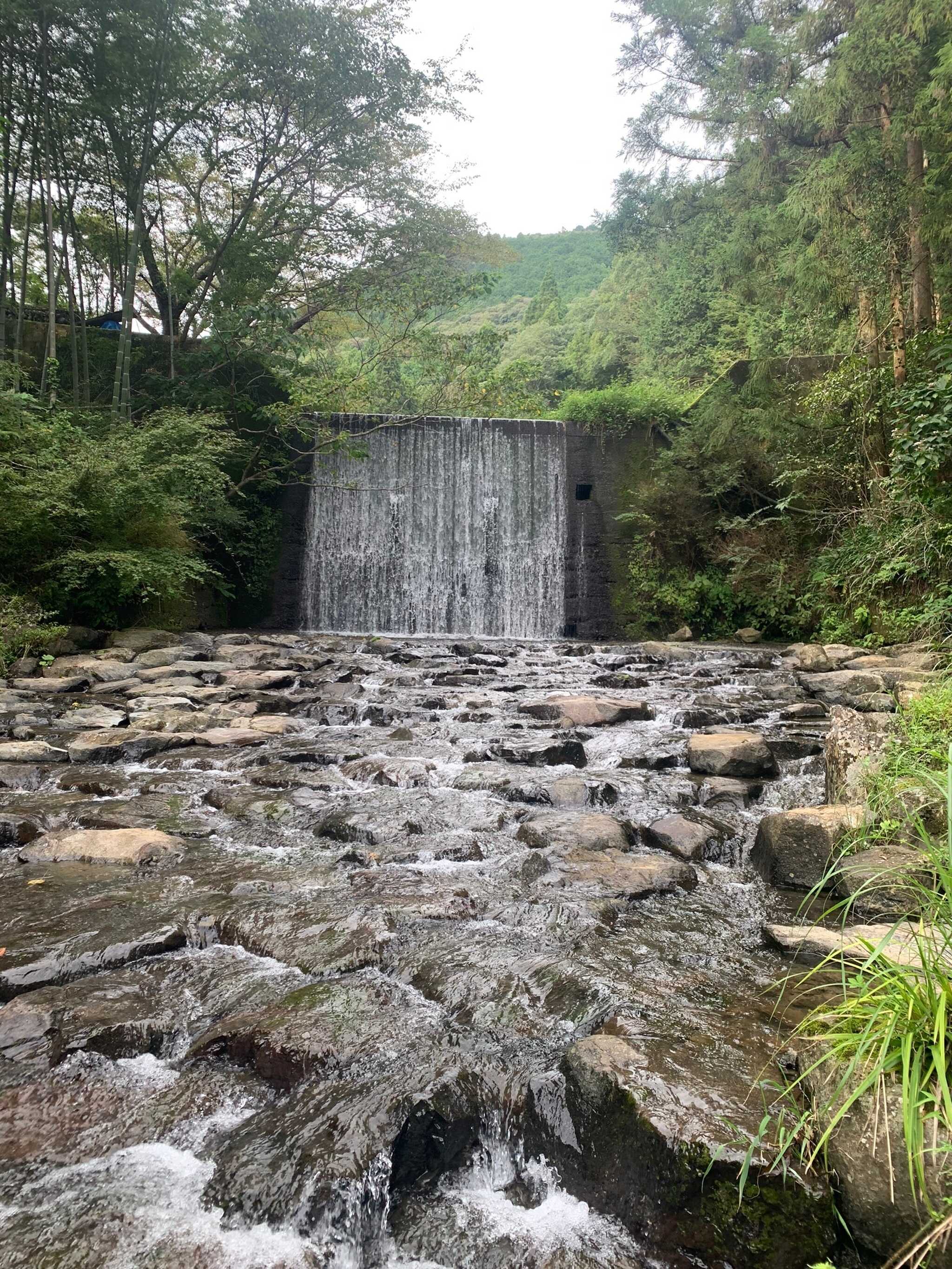 川の奥にはこんな場所もあって、気持ちよかったです