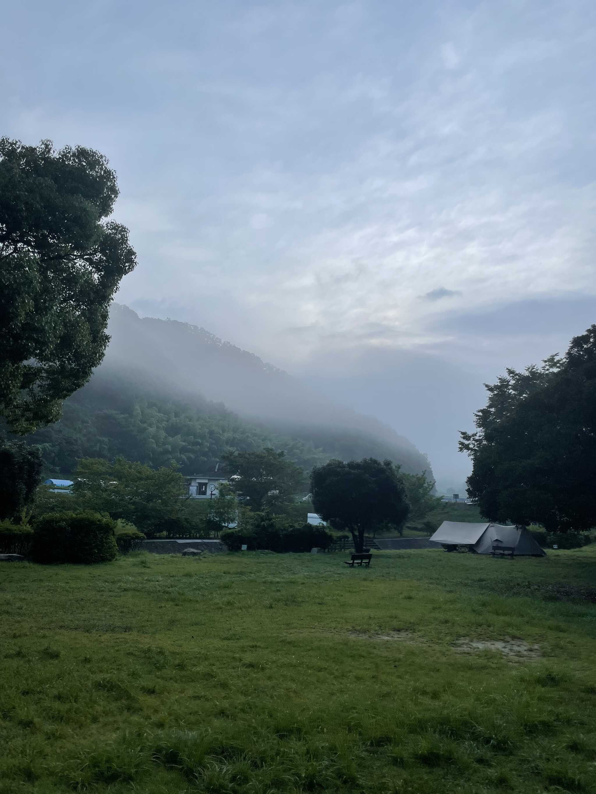 早朝