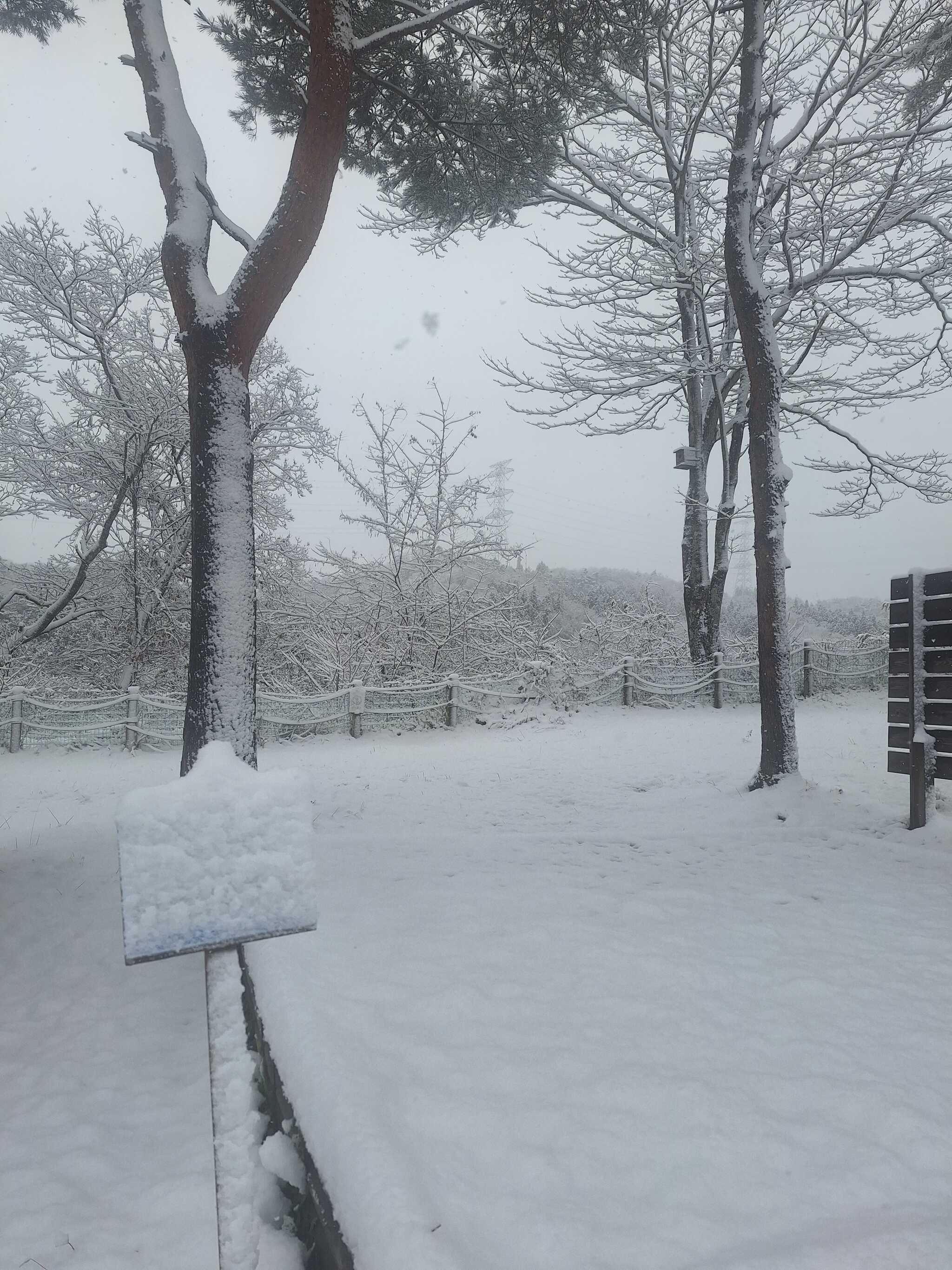 雪の朝未使用のサイト