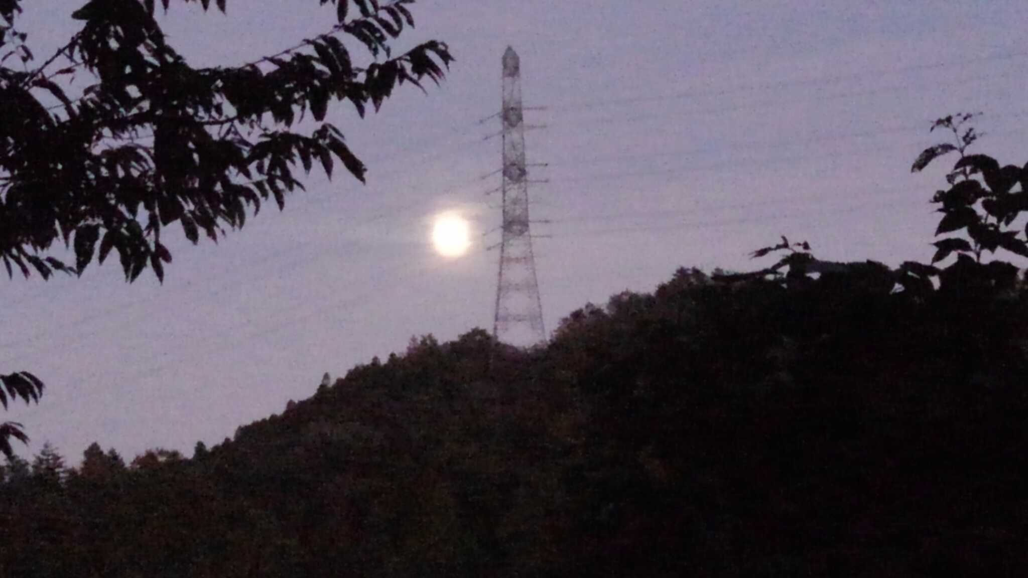 月が明るい夜です
