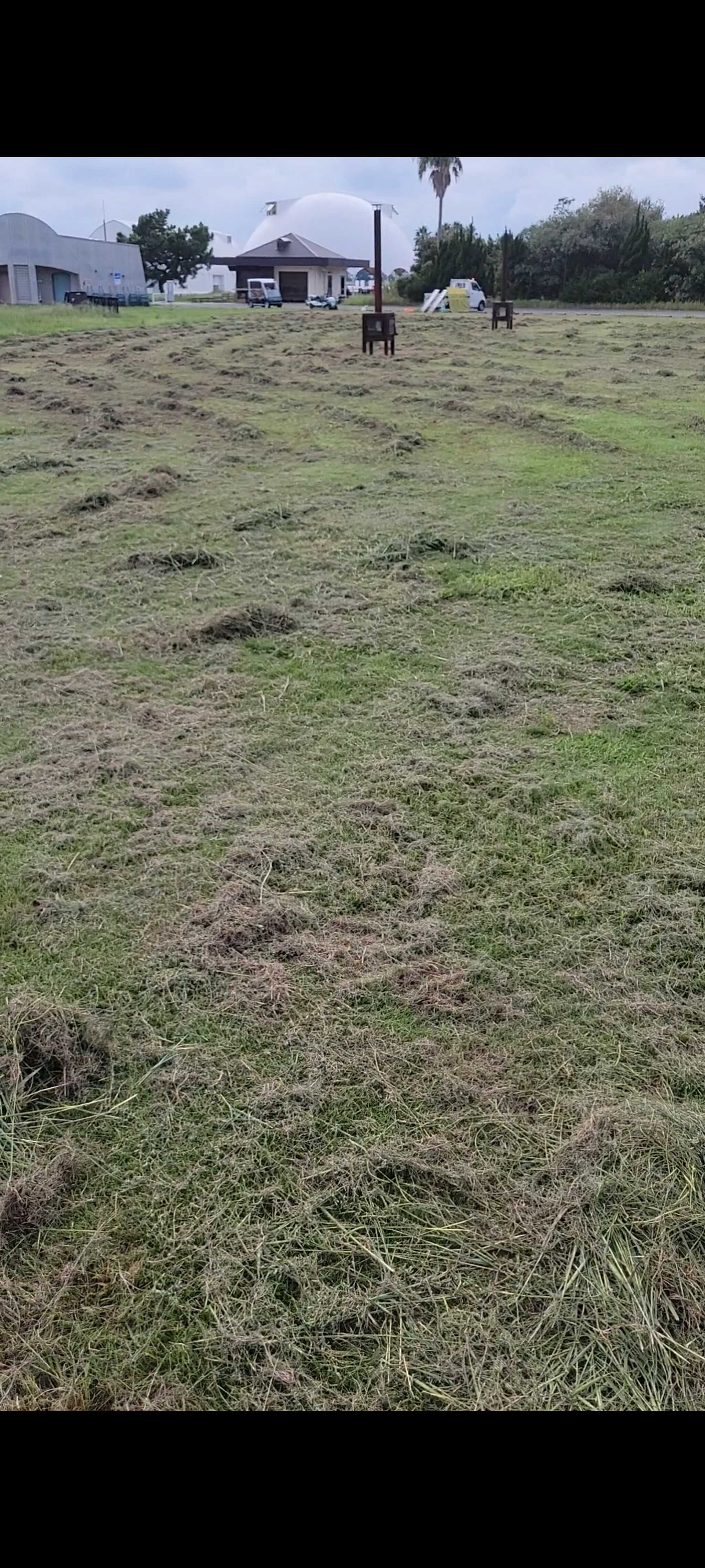 キャンプサイトの写真です。