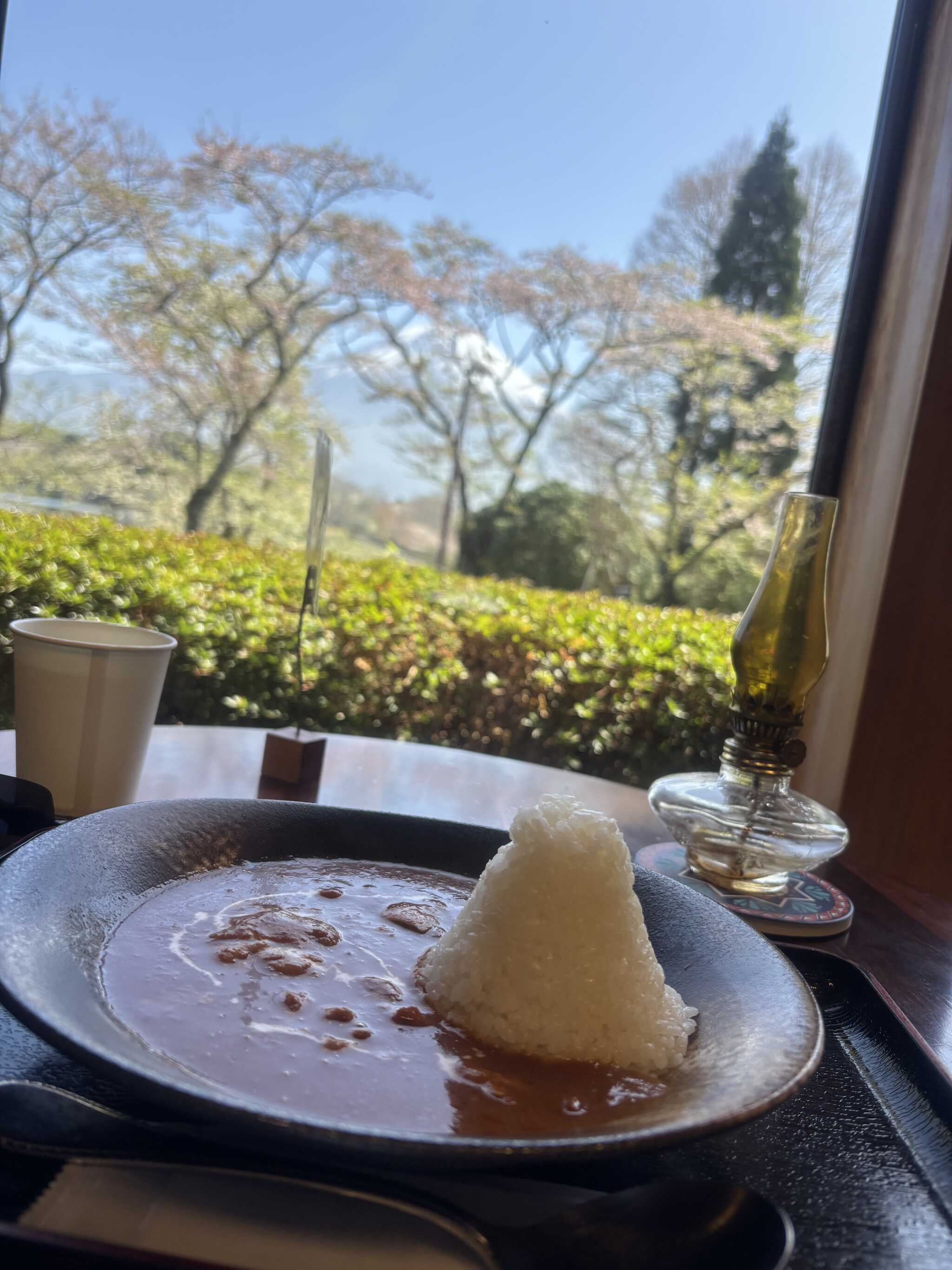 カレーもいただきました、