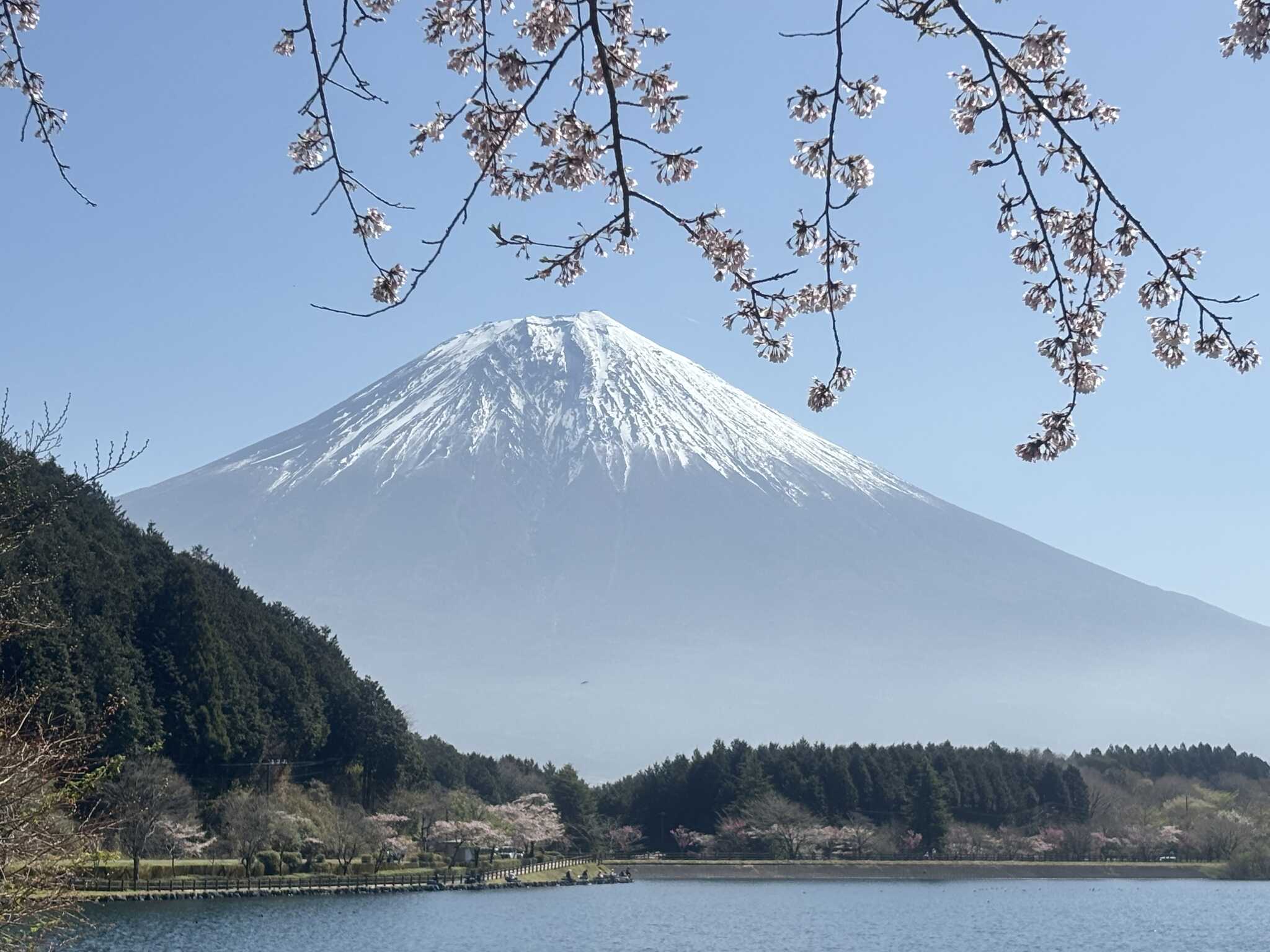 前日は大雨でしたが、当日は快晴でした。
