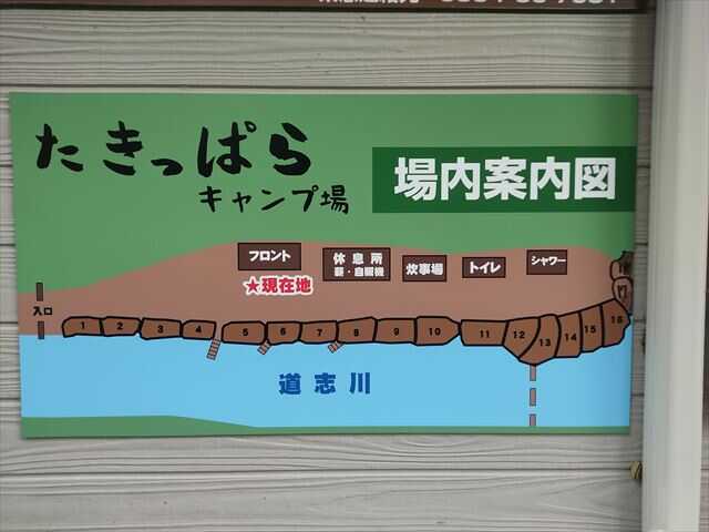 場内マップ
