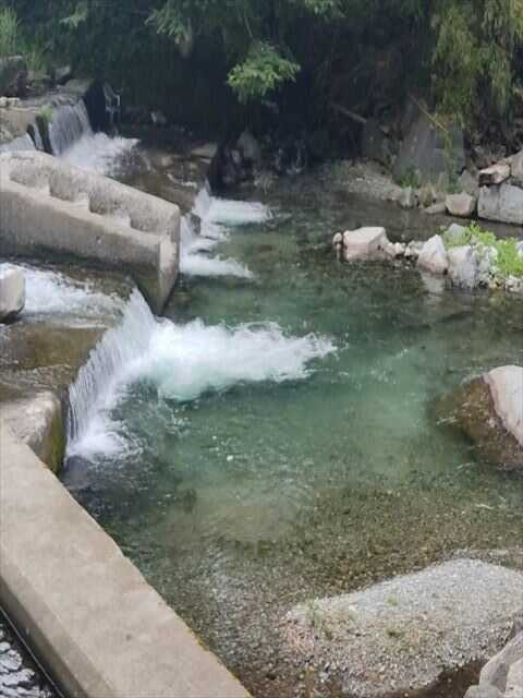 道志川
