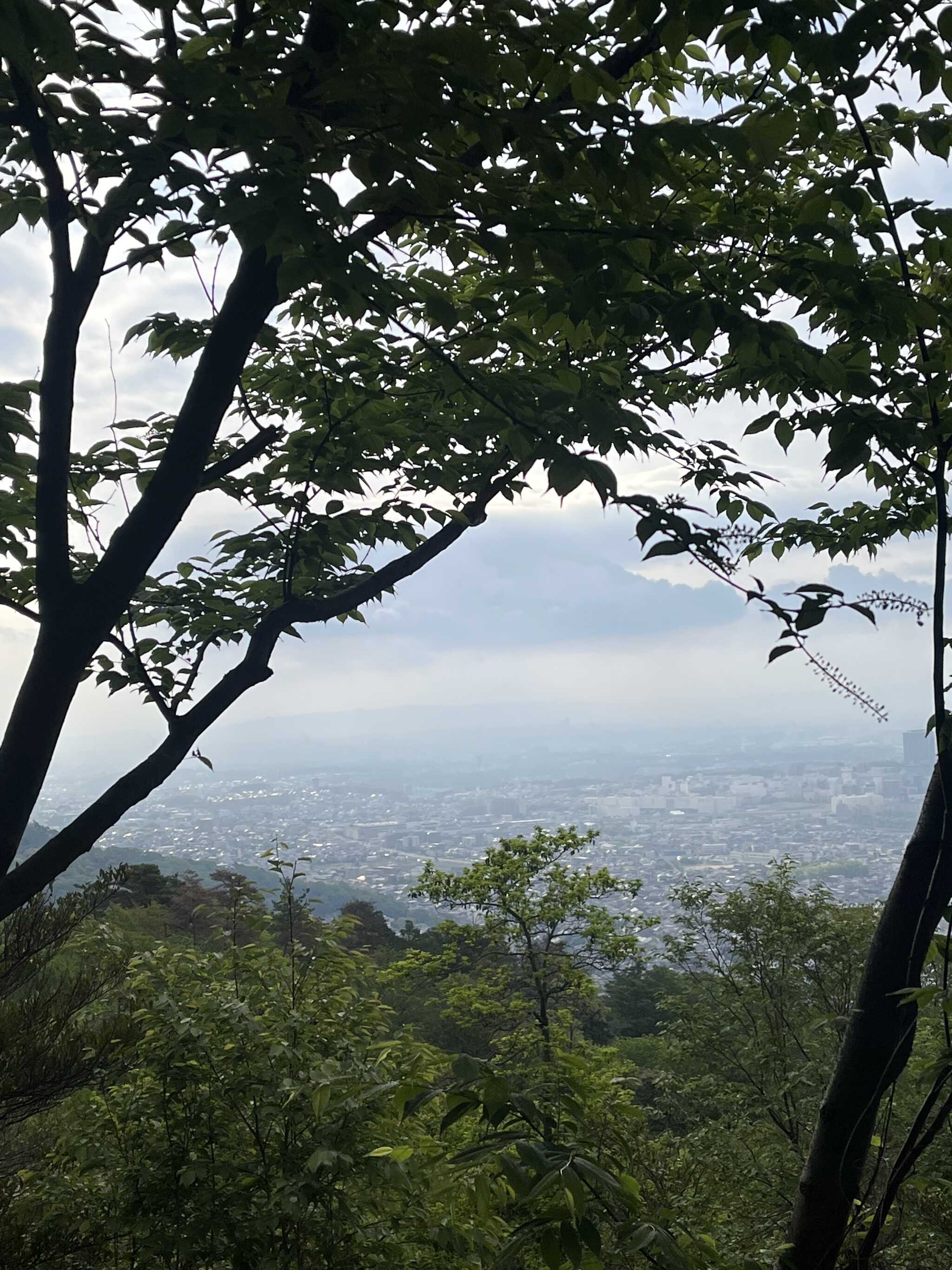 サイトNO5付近から見える風景