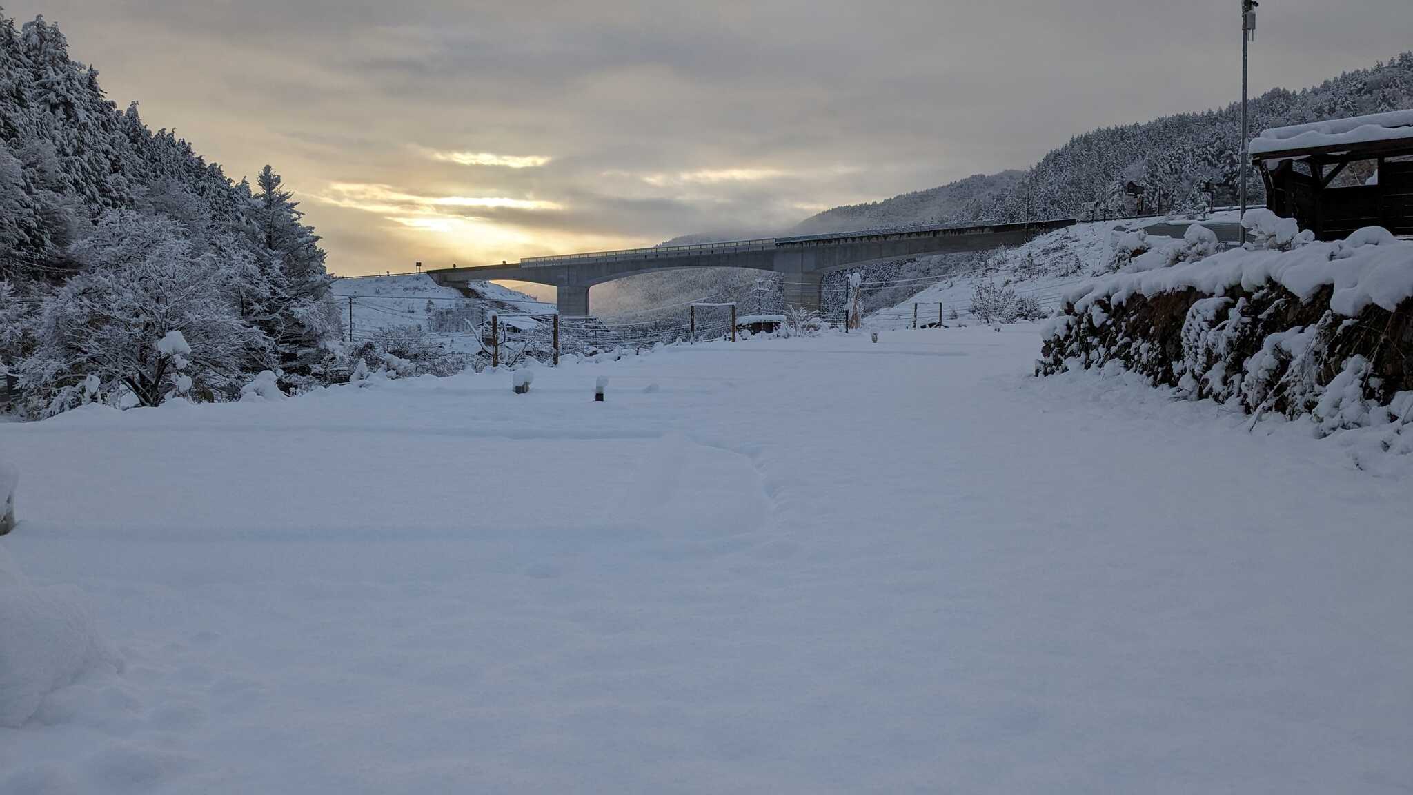 一面の雪!
