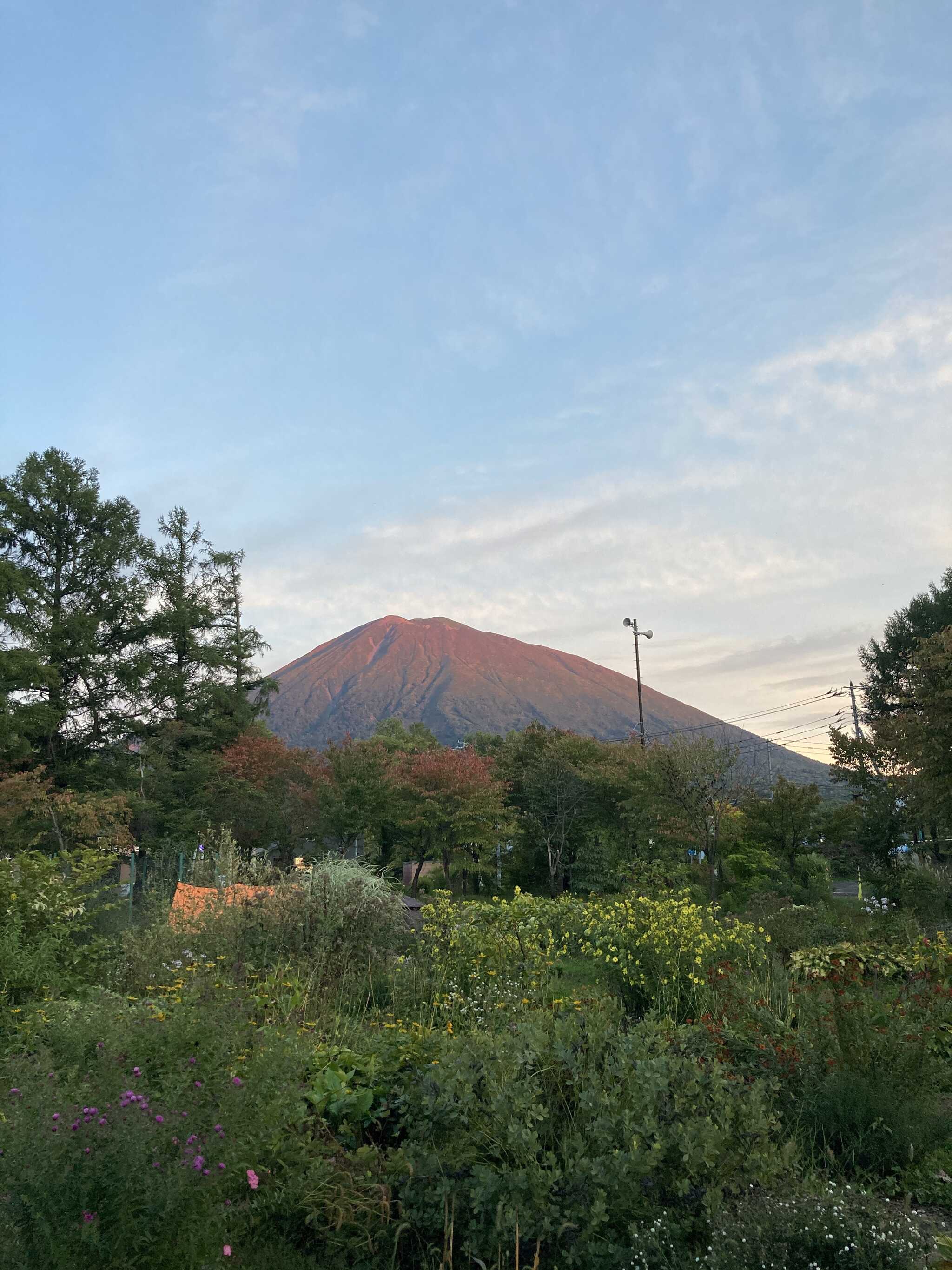 冒険家族の口コミ投稿写真