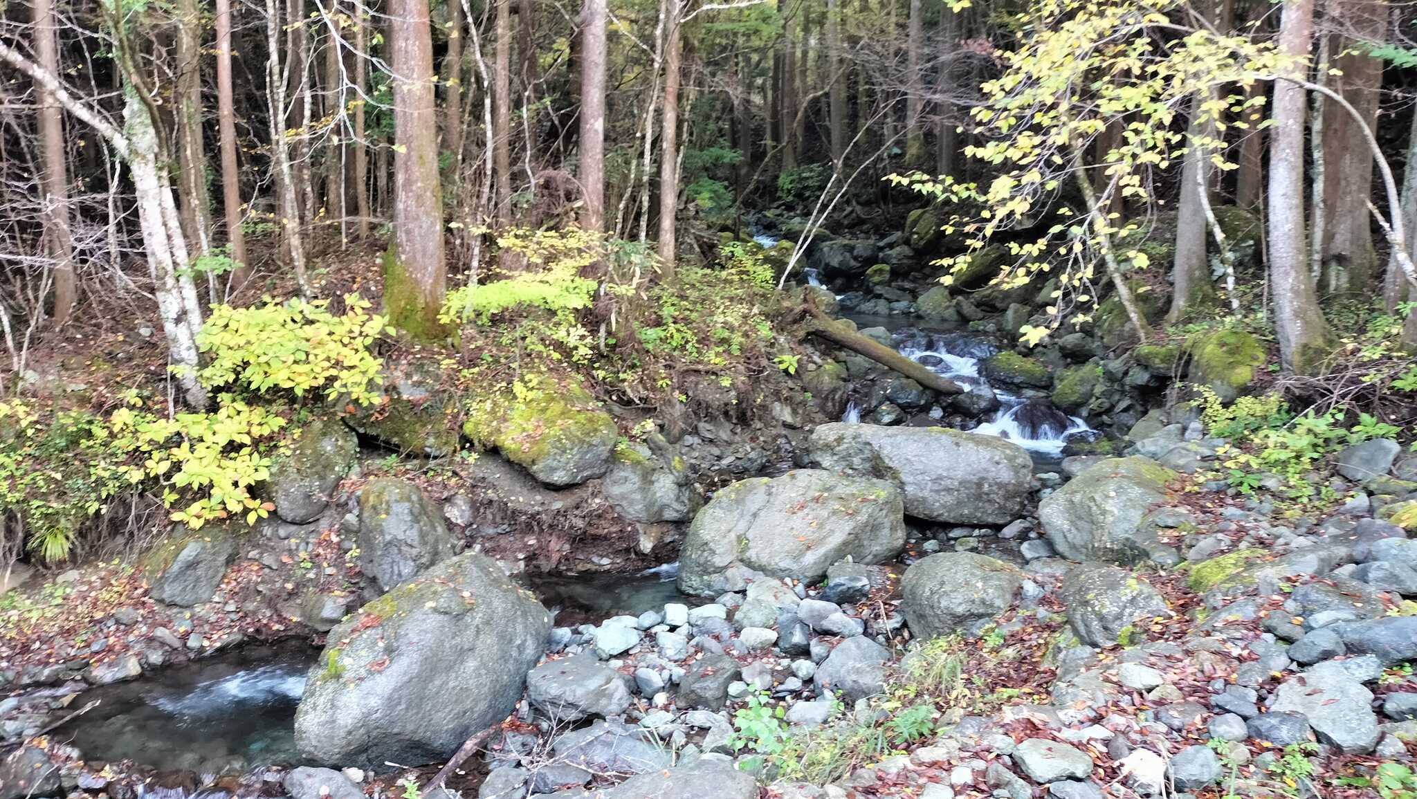 サイトから見える道志川