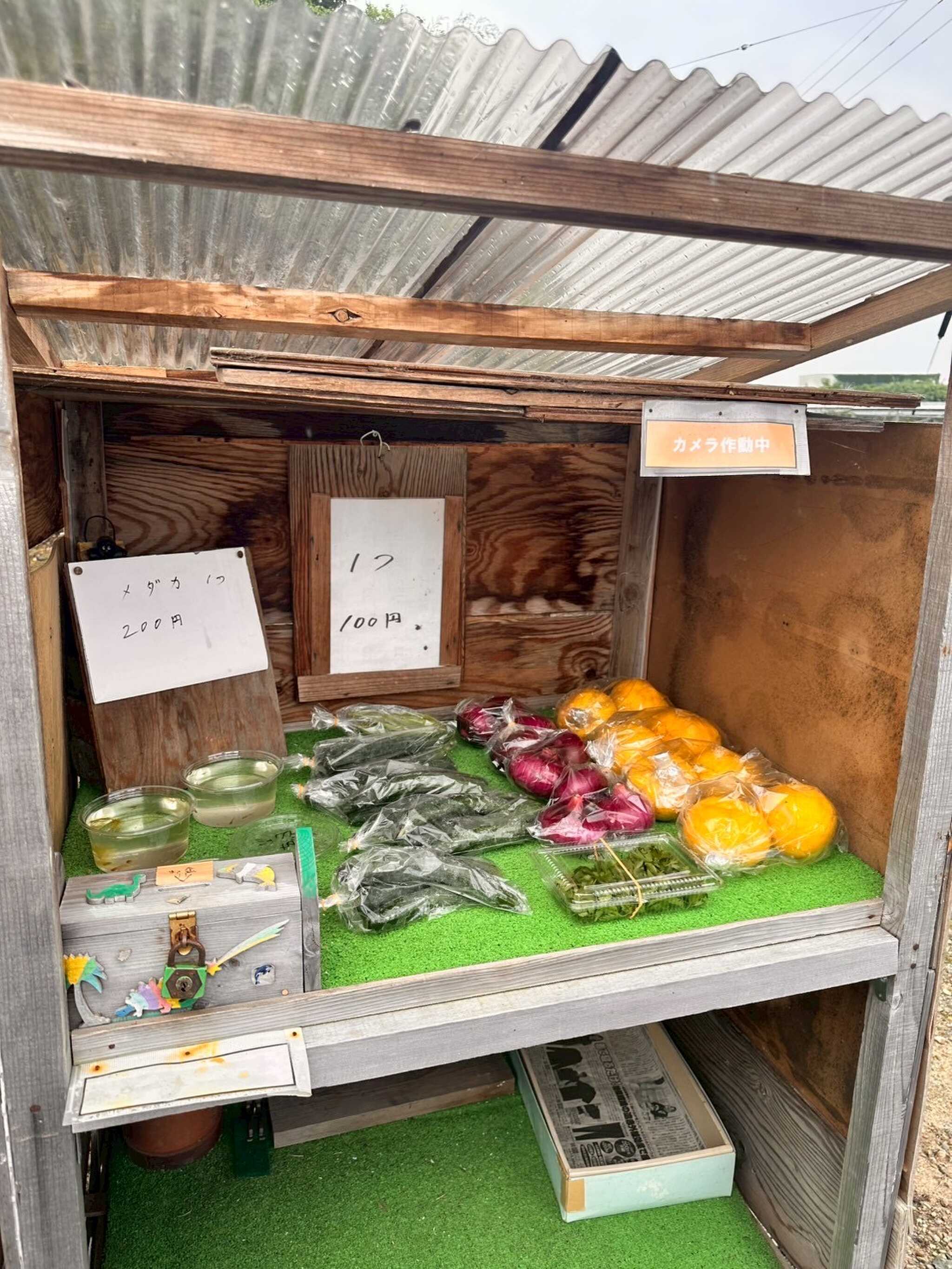 キャンプ場近くの無人販売店。メダカも売ってます(思い出のペットとして買いました)
