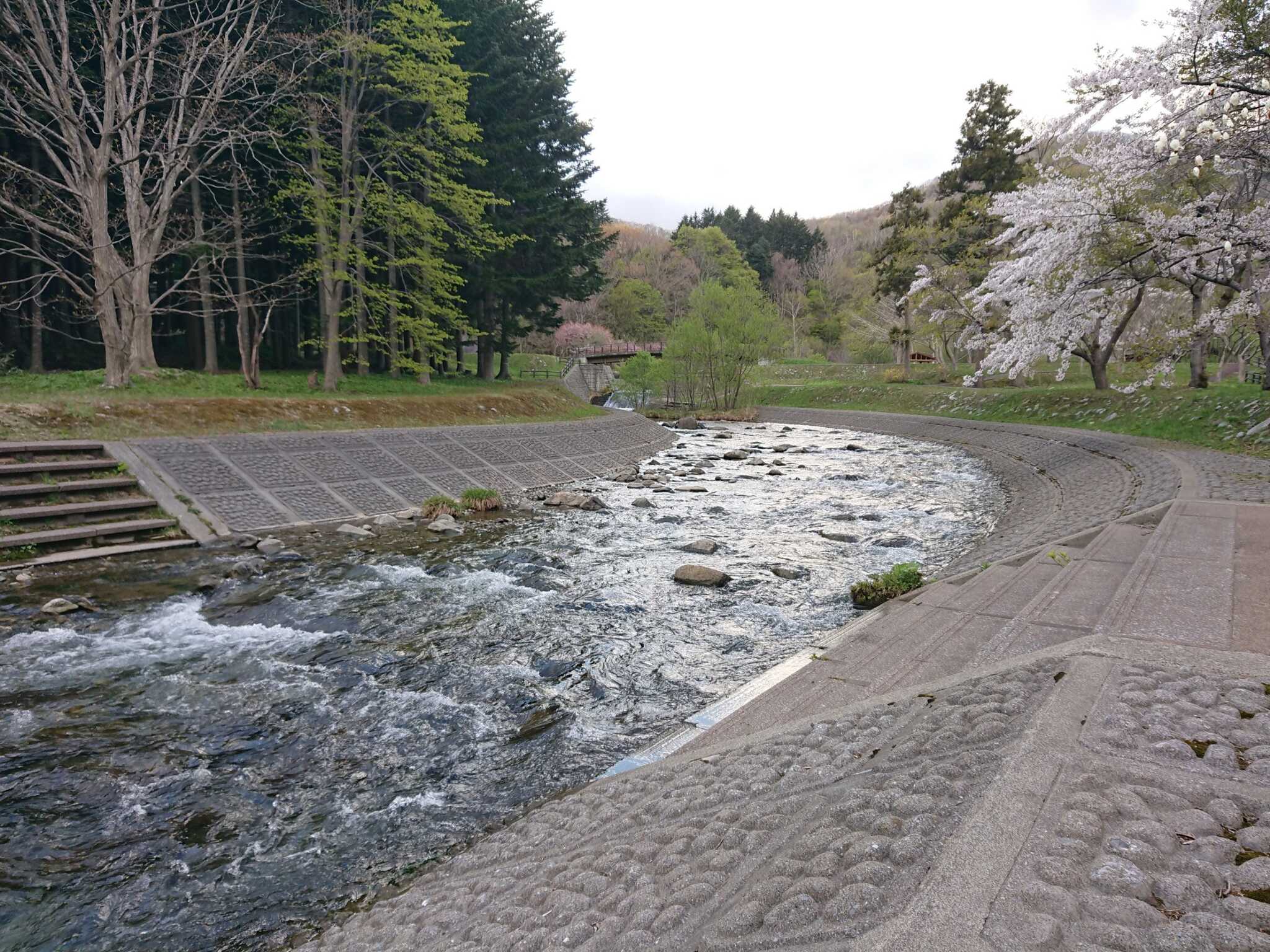 キャンプ内の川