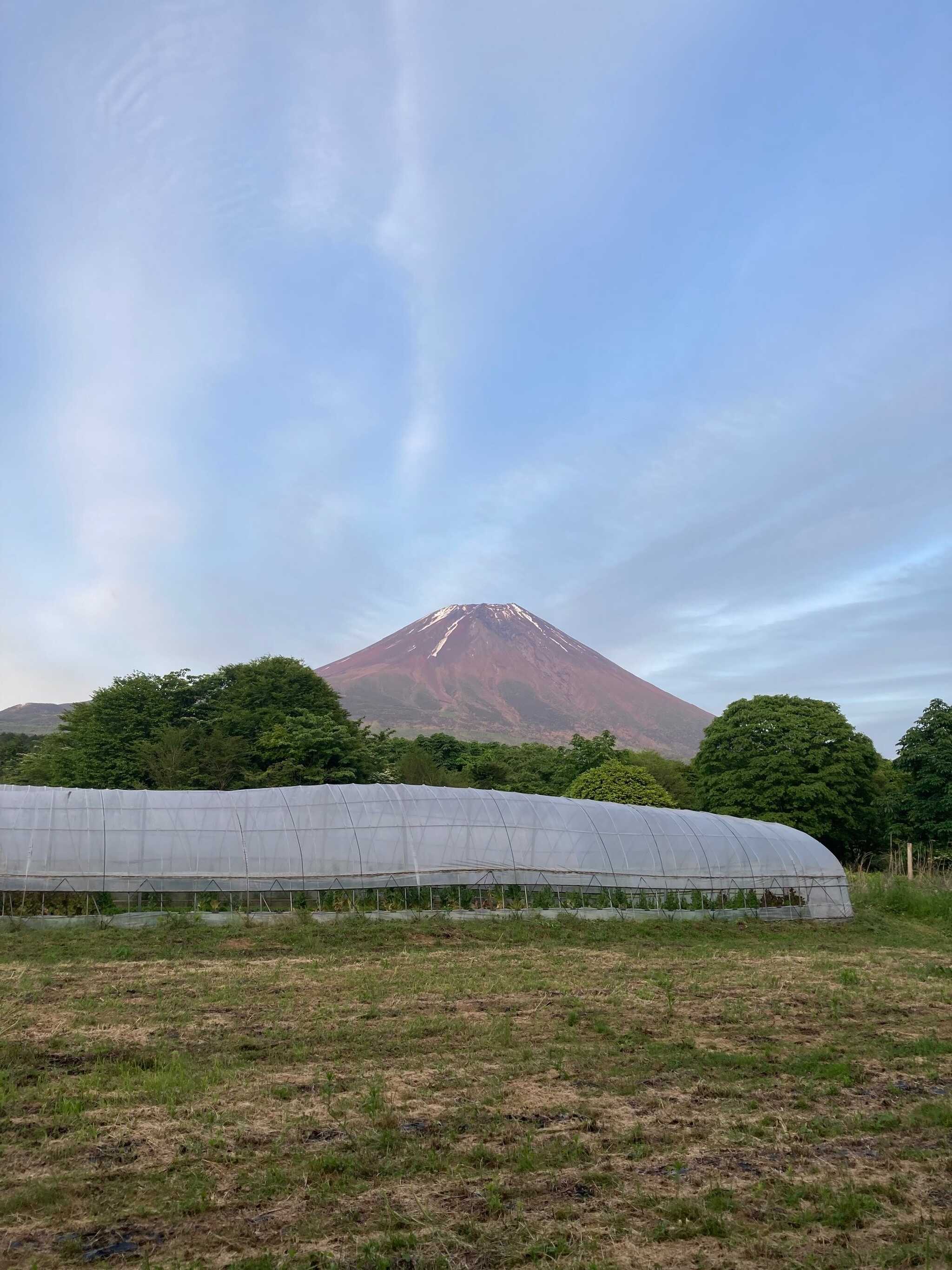 場内から眺める富士山