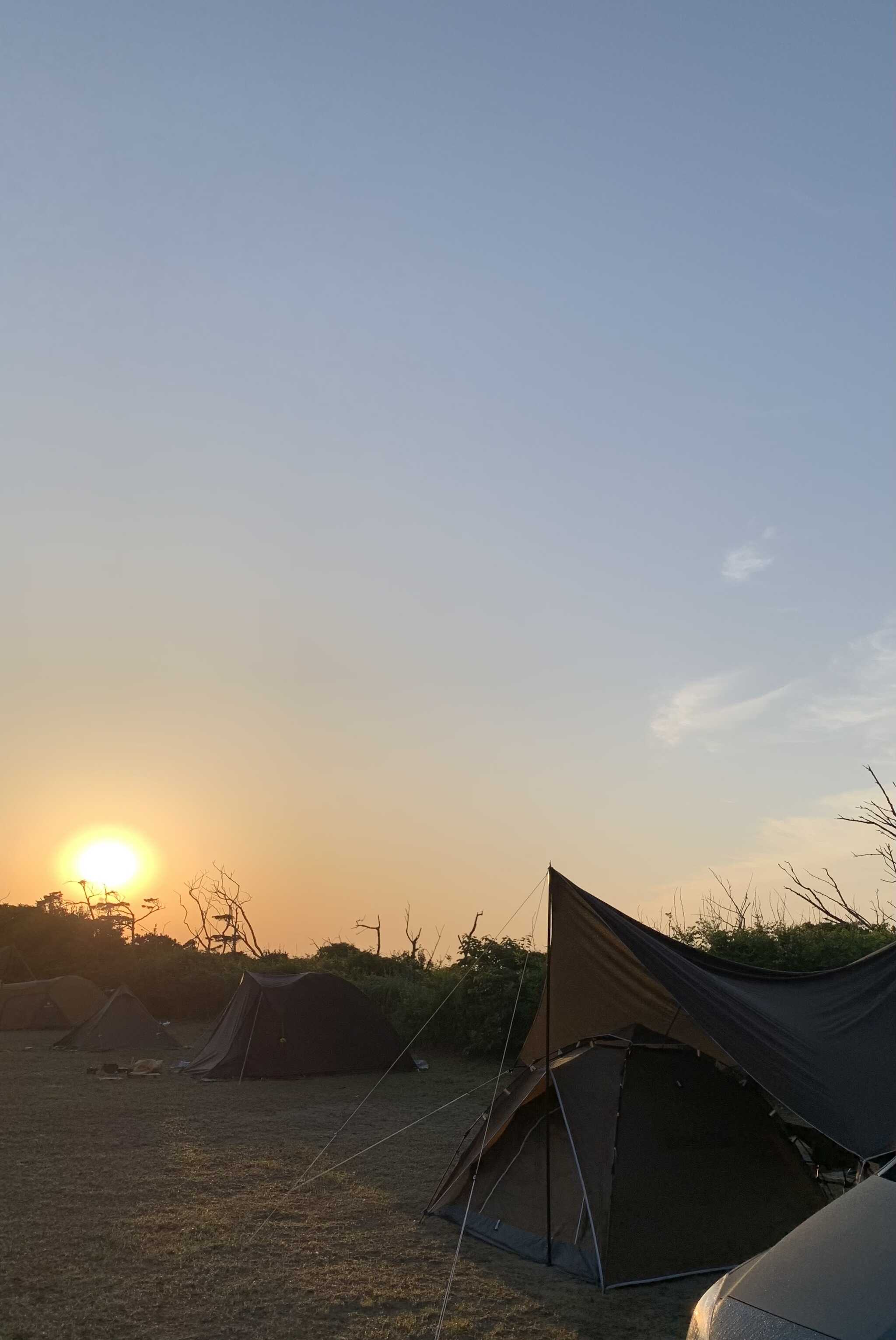 朝日です。