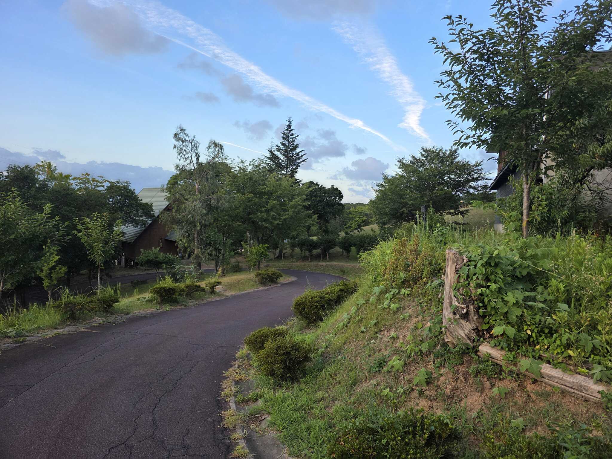 いい写真がありませんでした①