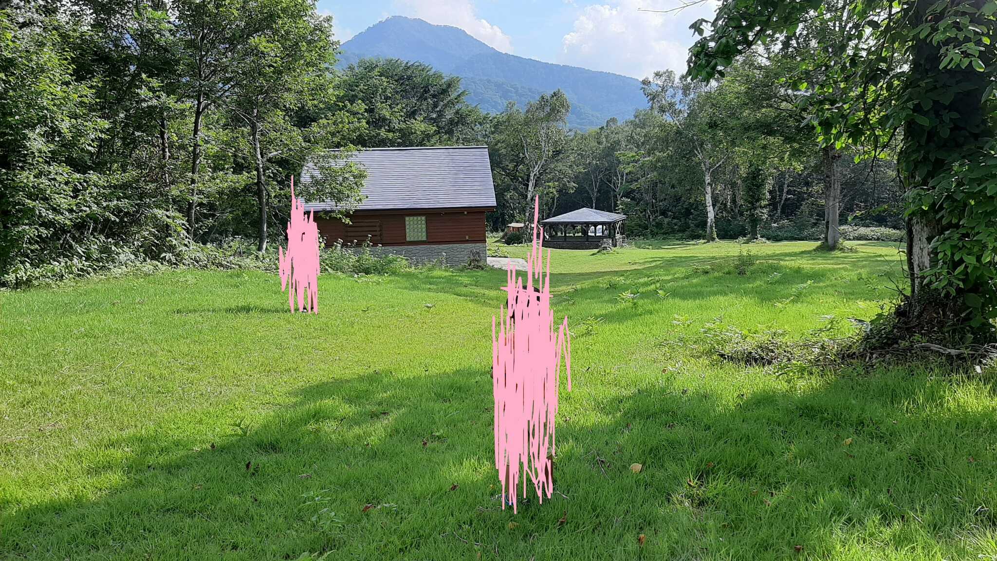 笹ヶ峰キャンプ場の写真 2枚目
