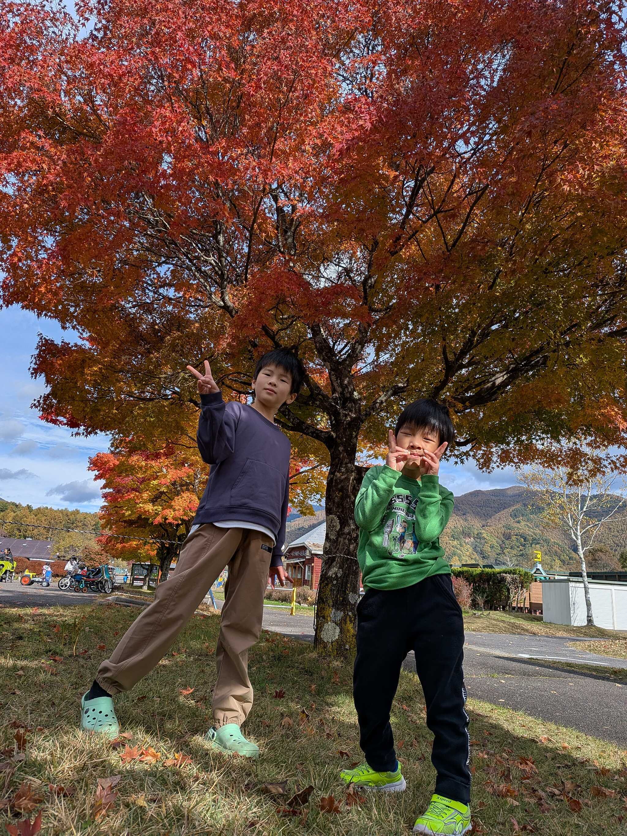 おもしろ自転車の所のもみじ