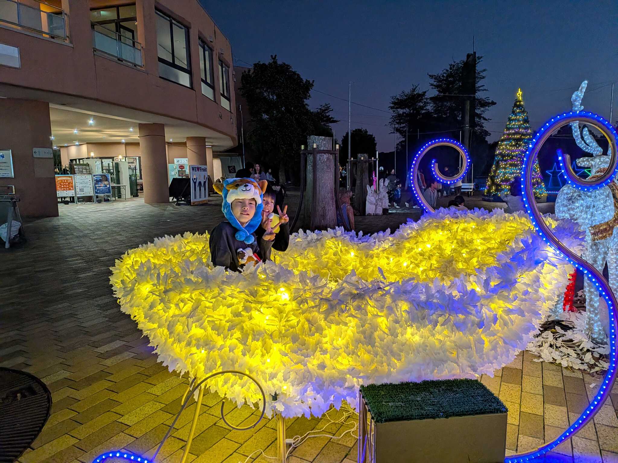 夜のライトアップ