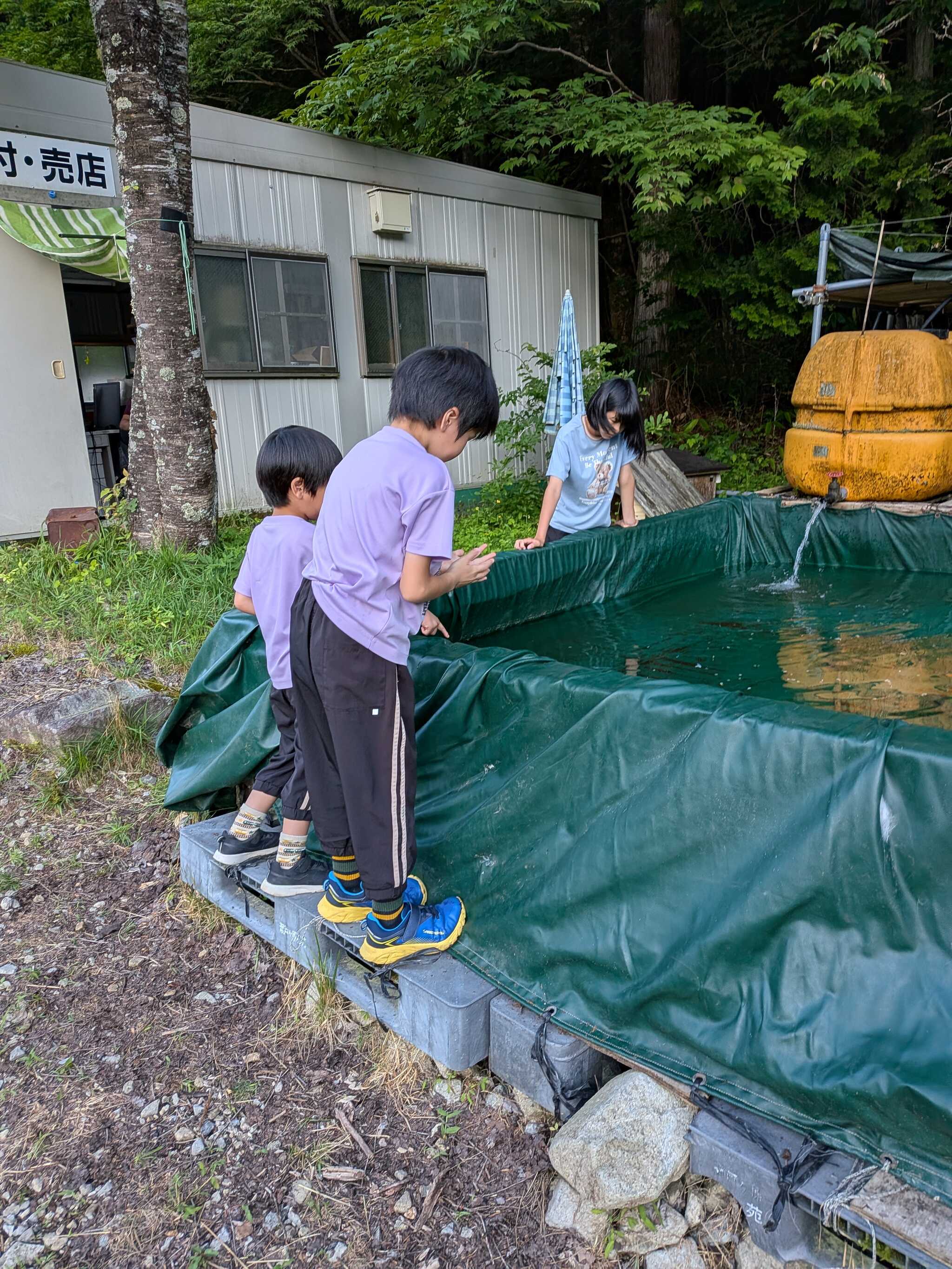 魚のつかみ取り