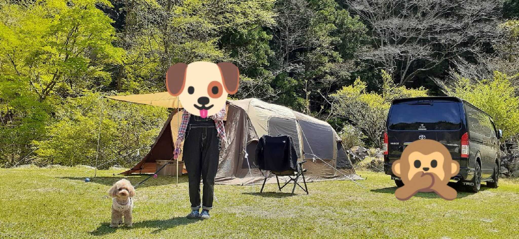 天気最高!緑多い!当日は風は強かった