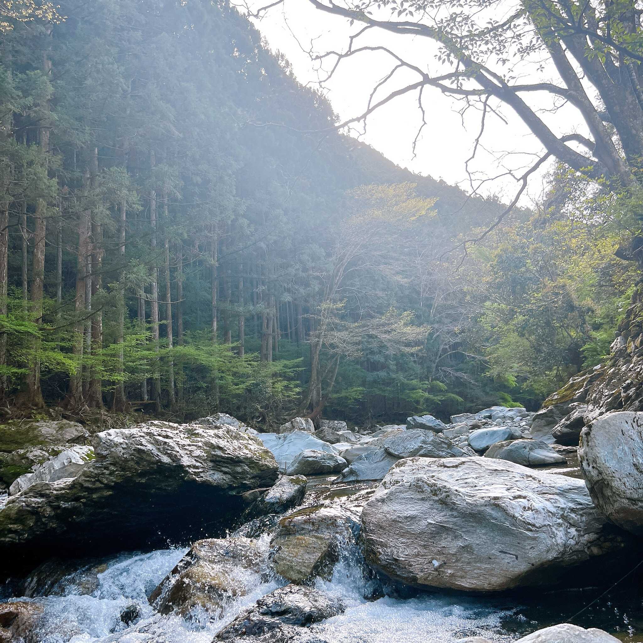 目の前の川