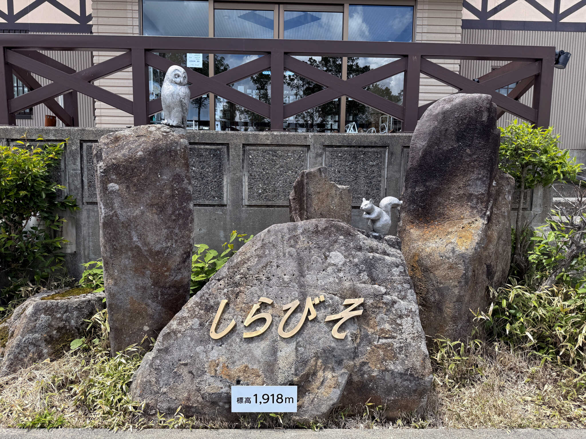 しらびそ