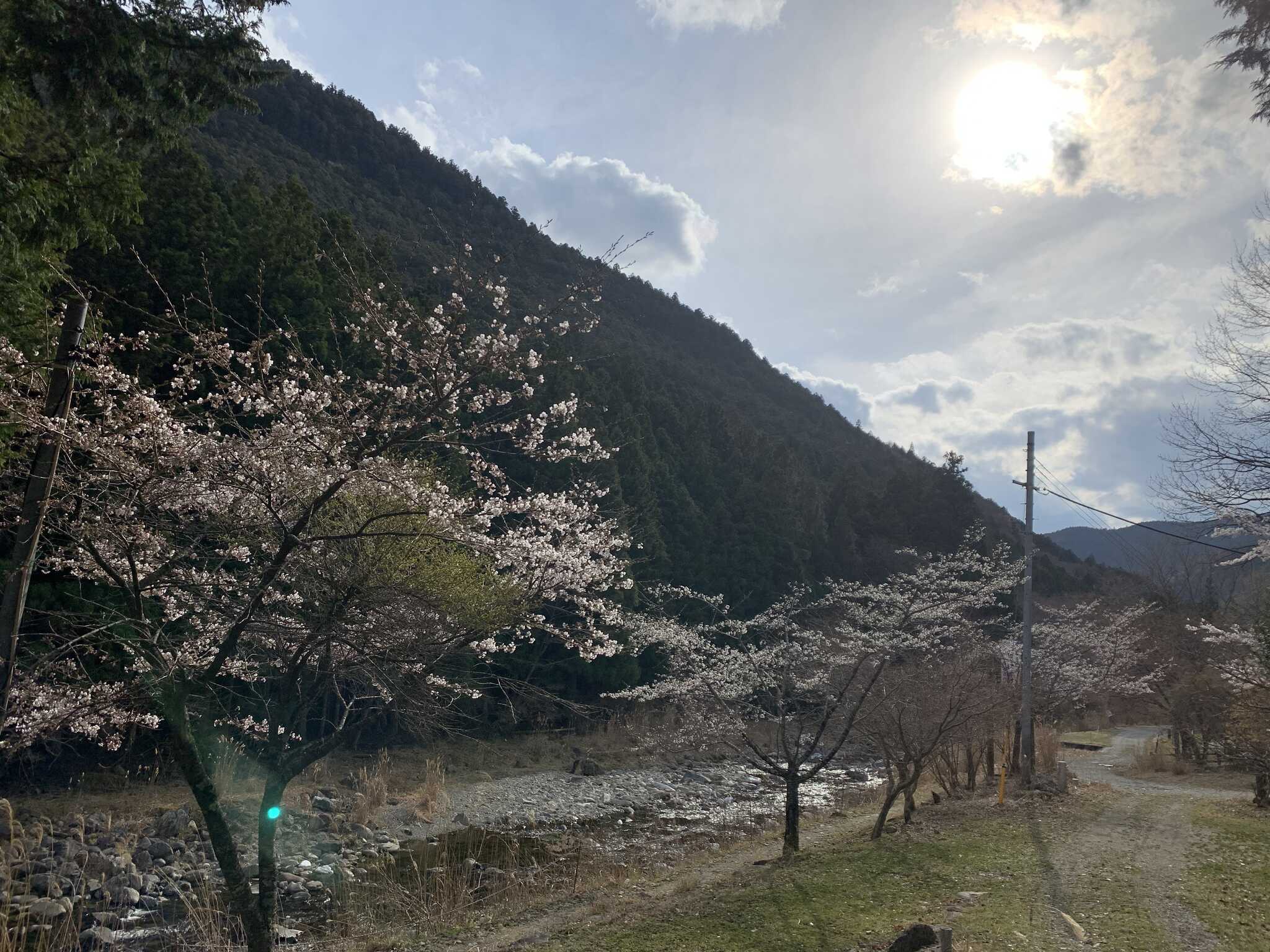 どろがわ山上川キャンプ場西浦の写真 3枚目