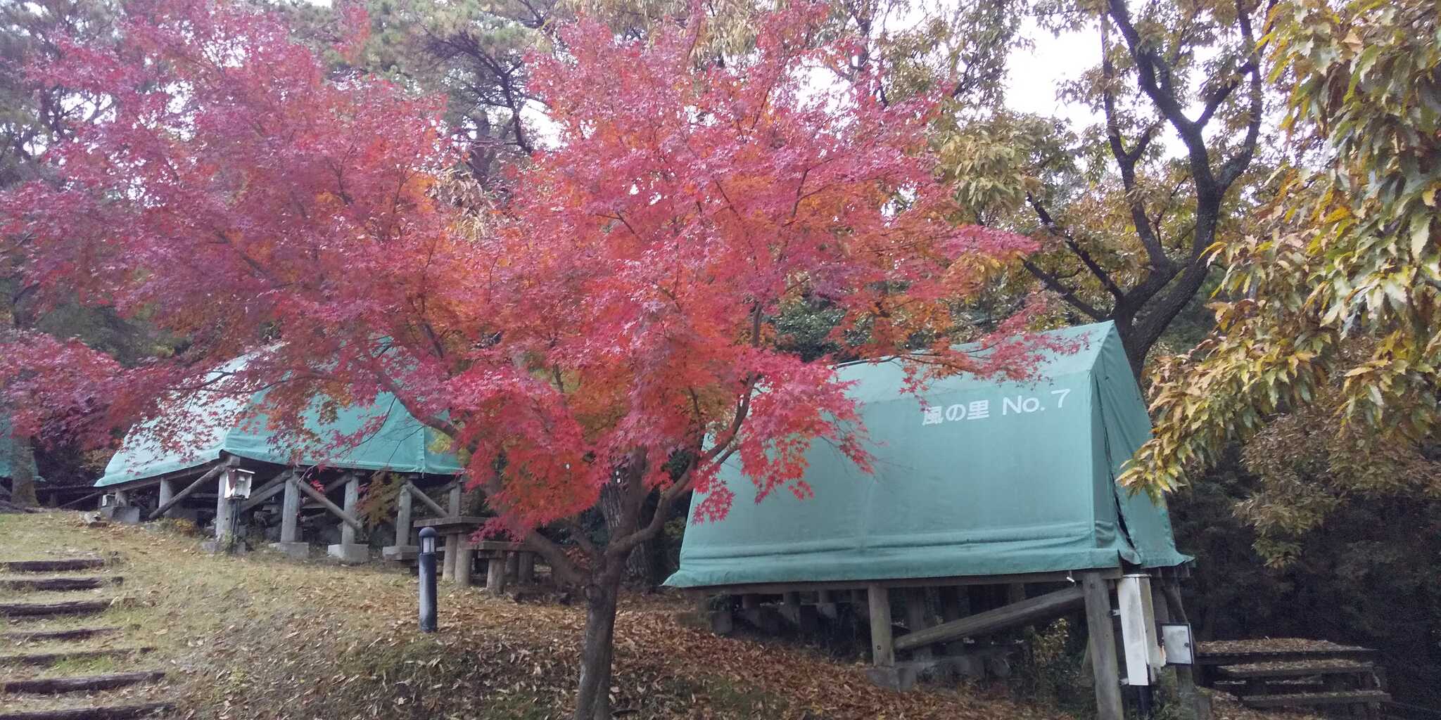 常設テントあり⛺️