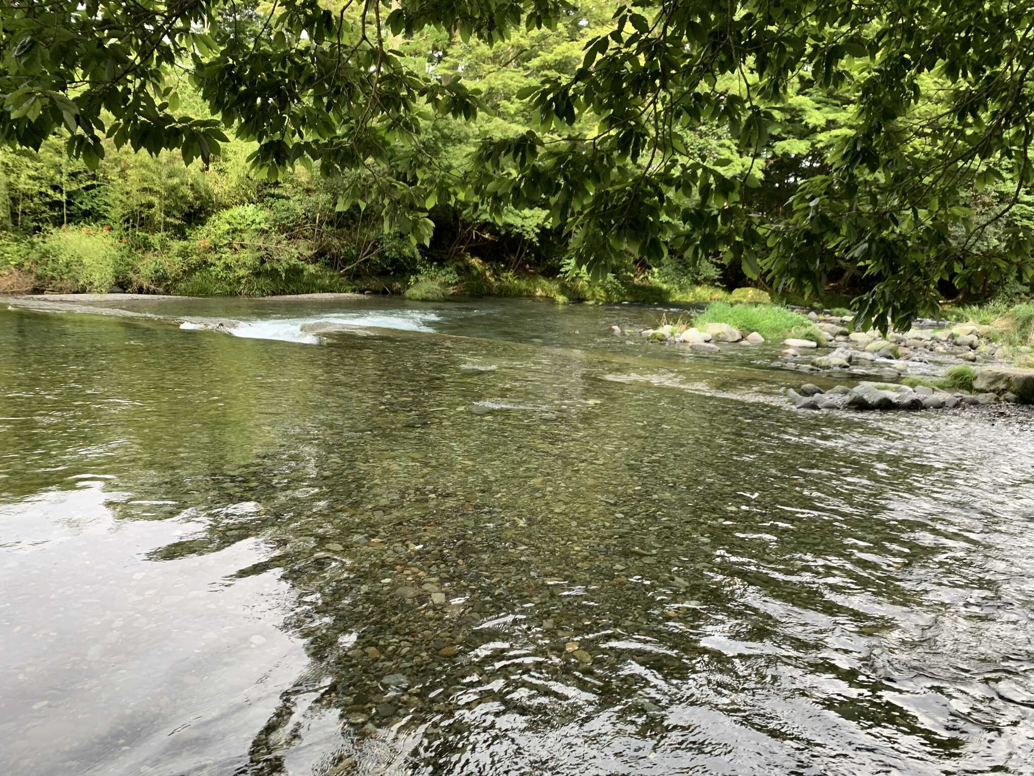 近くの川