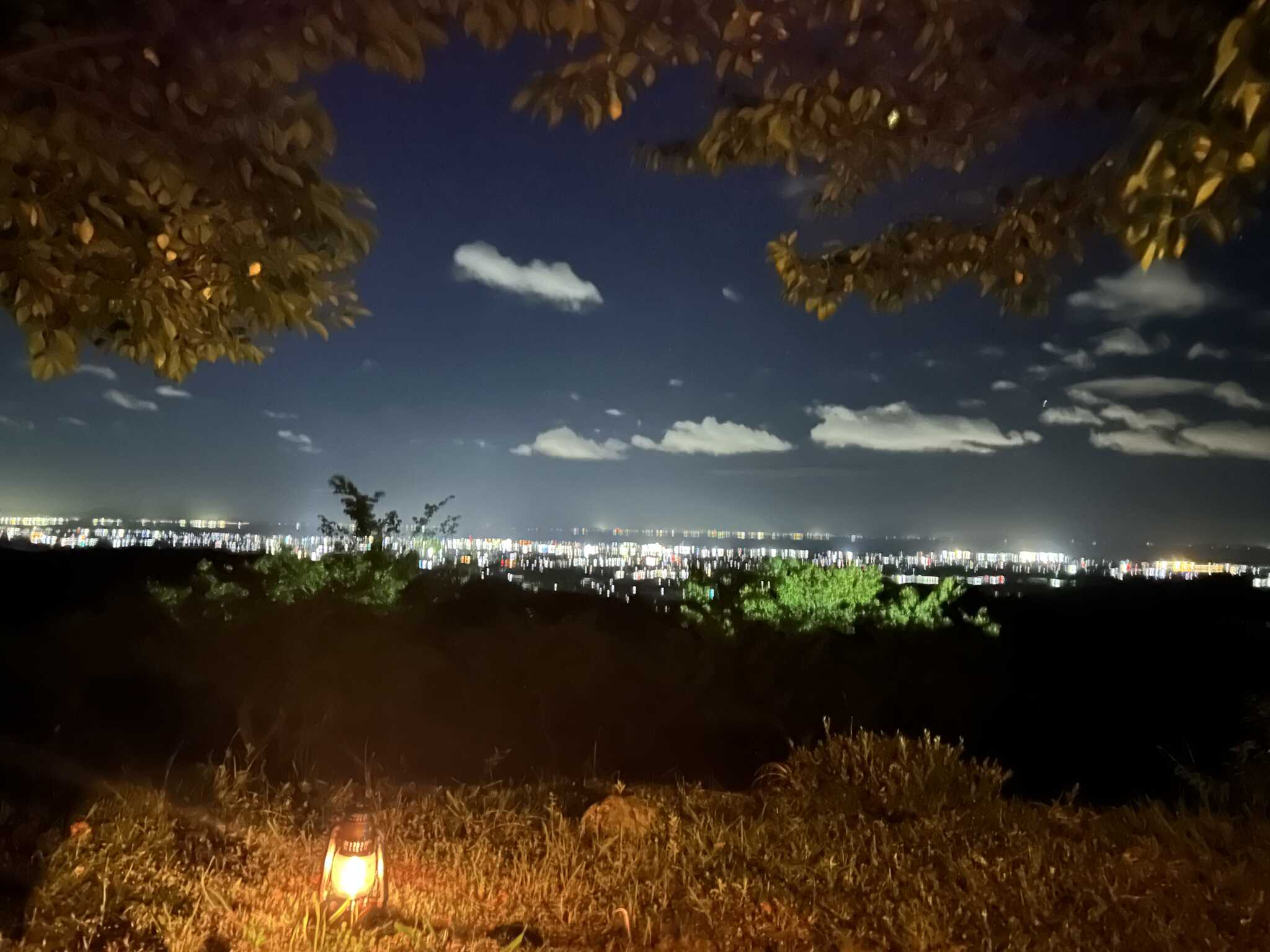 夜景