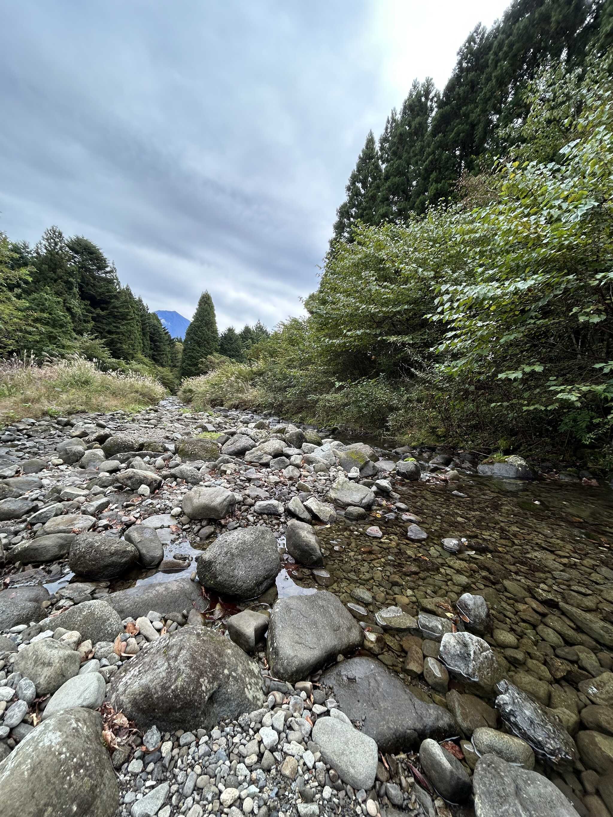 富士山と川