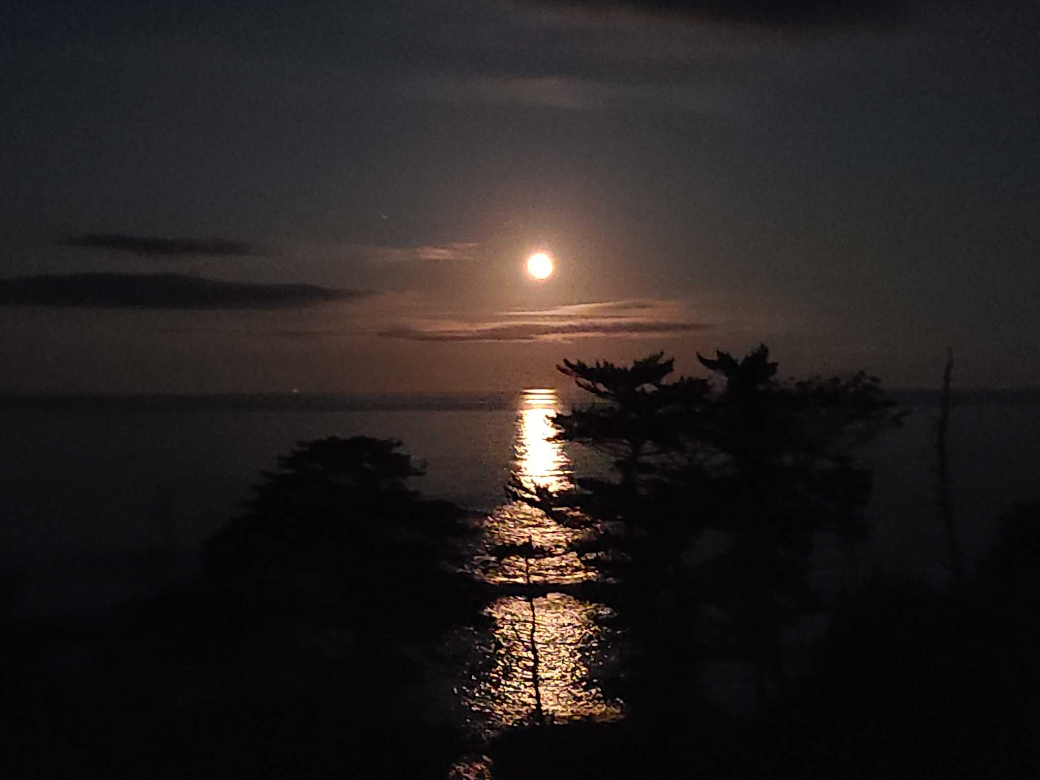 月夜