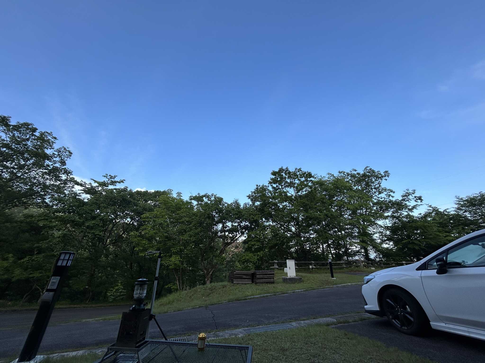 サイトから