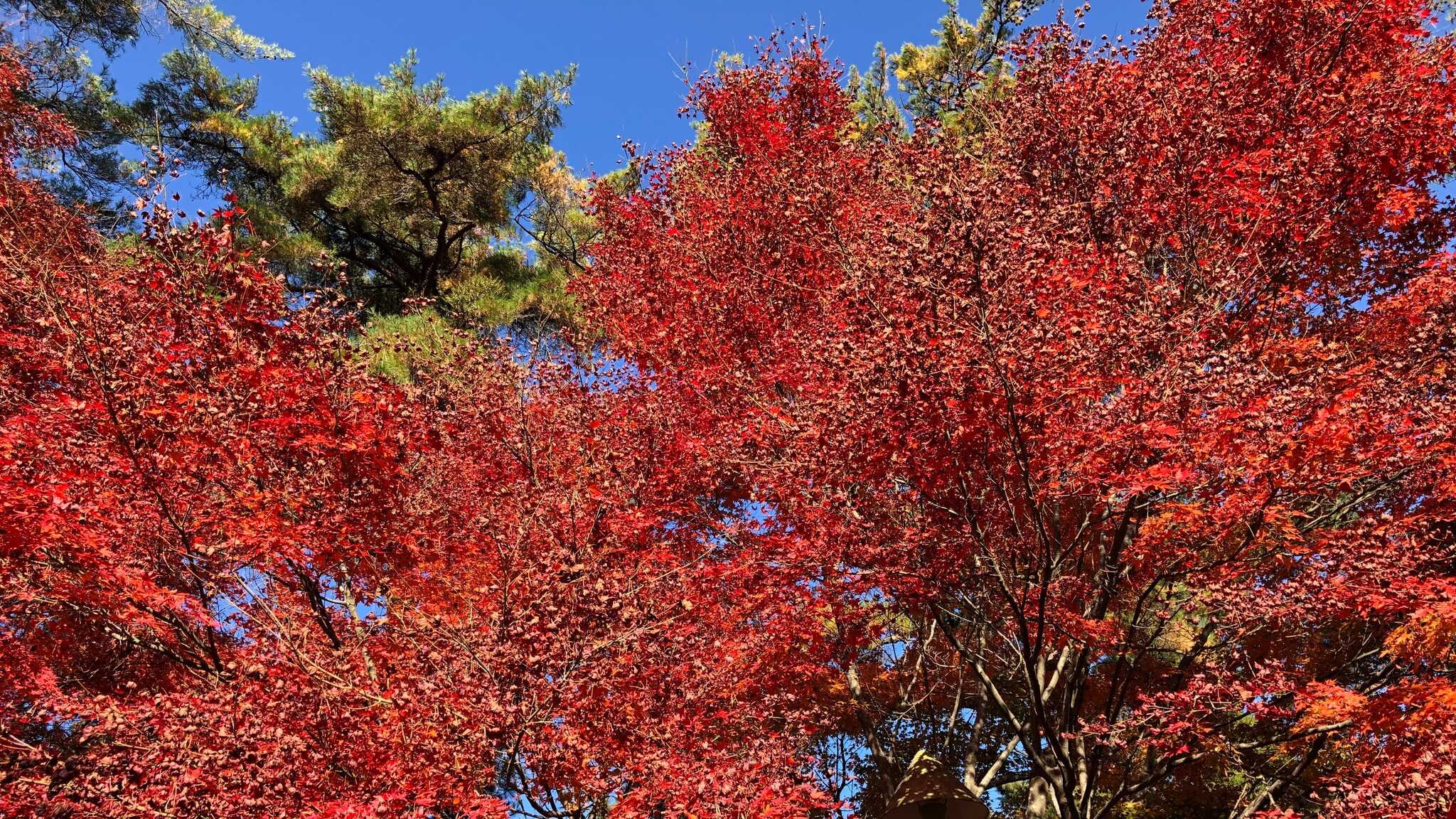弥高山公園キャンプ場の写真 5枚目