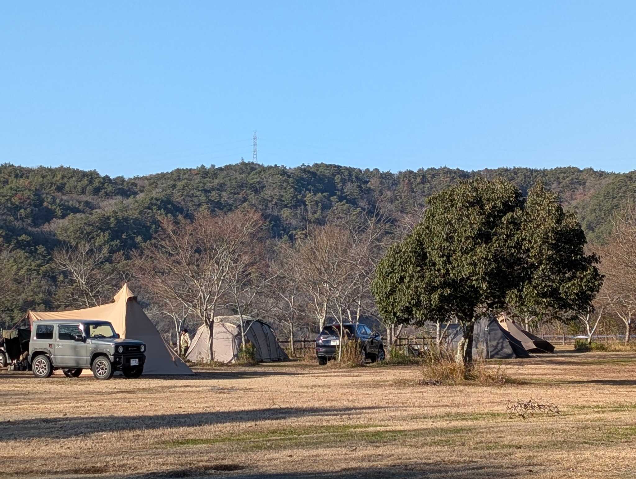キャンプ場内