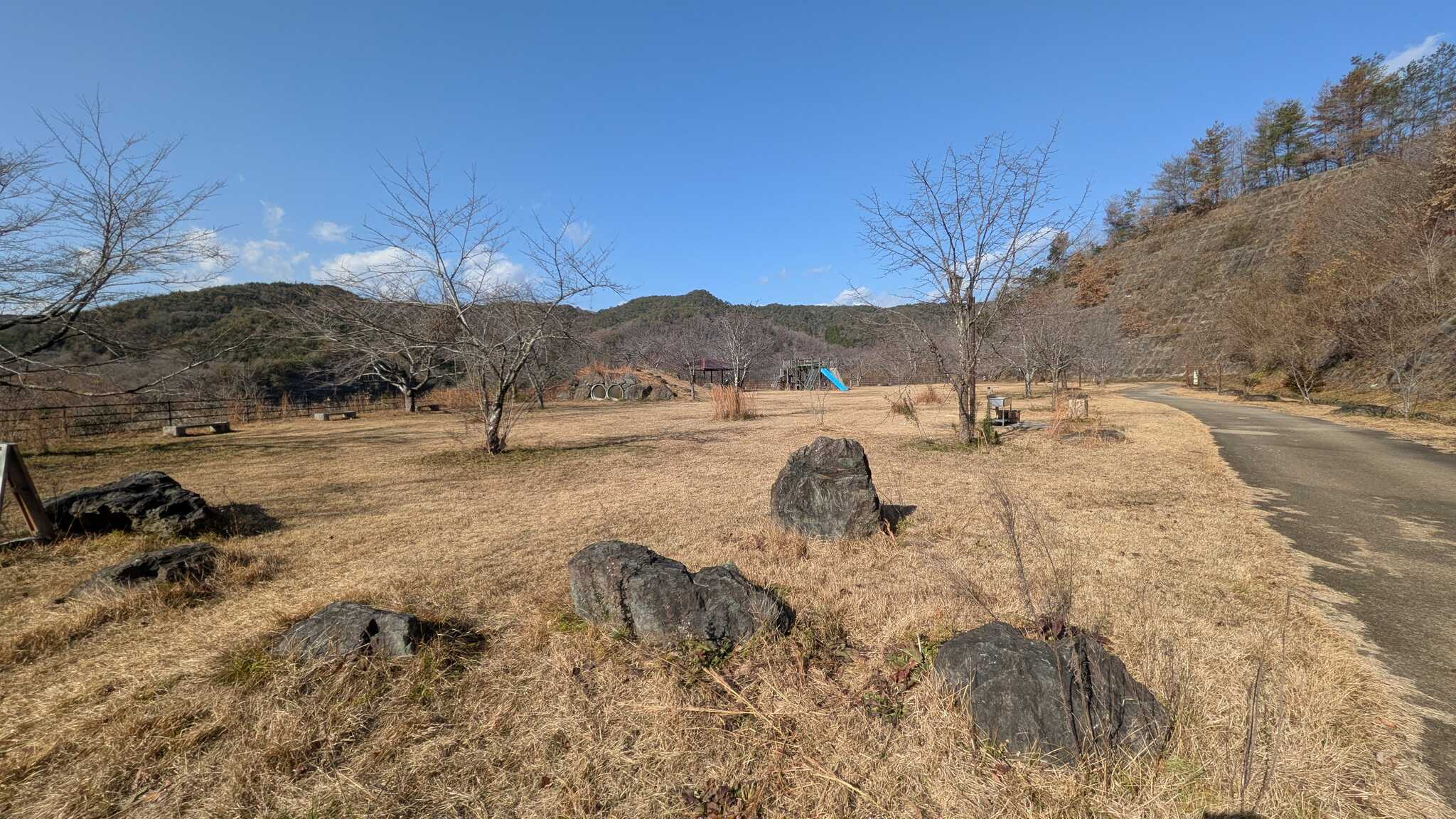 公園エリアの風景