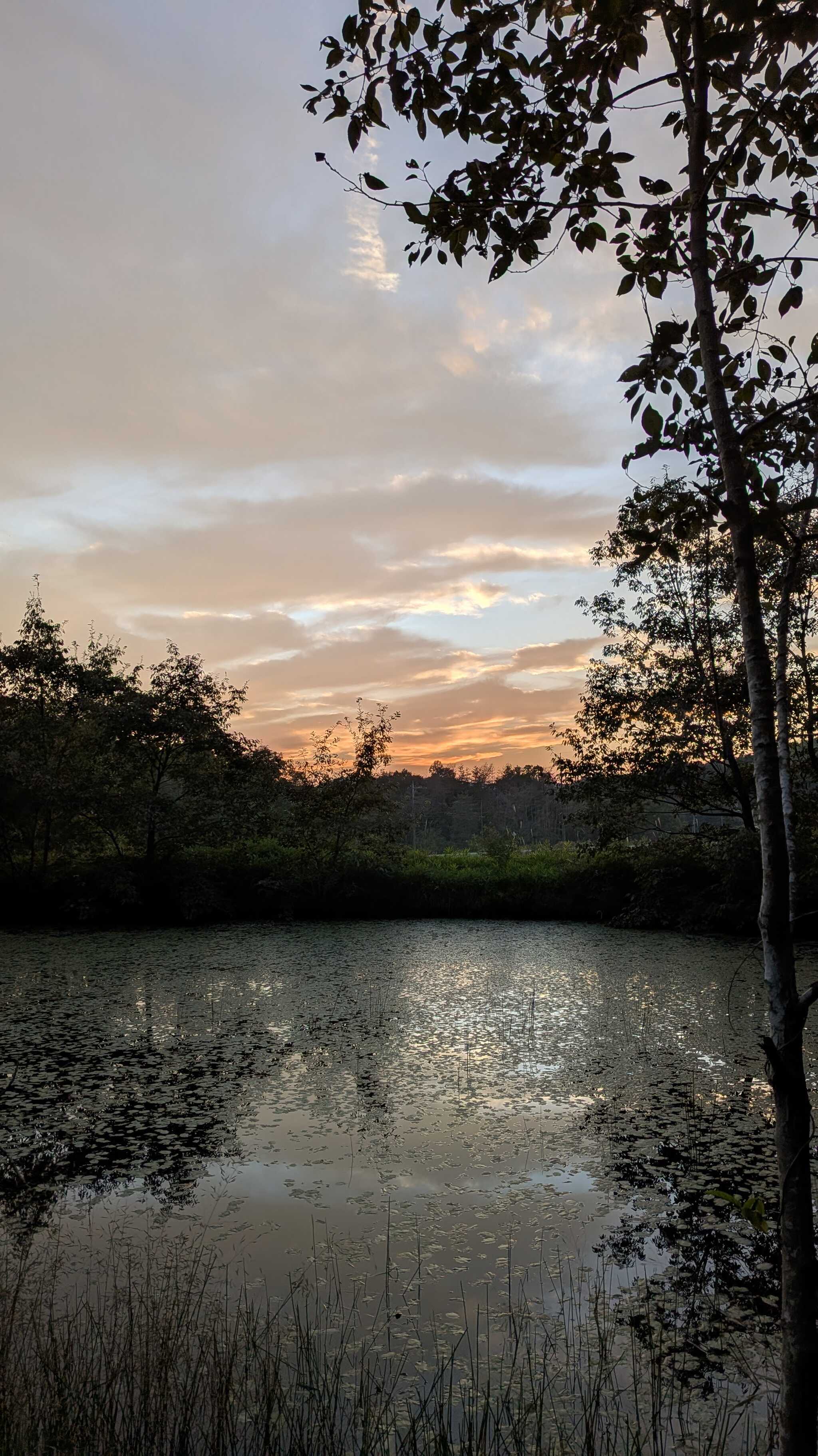 夕方の風景