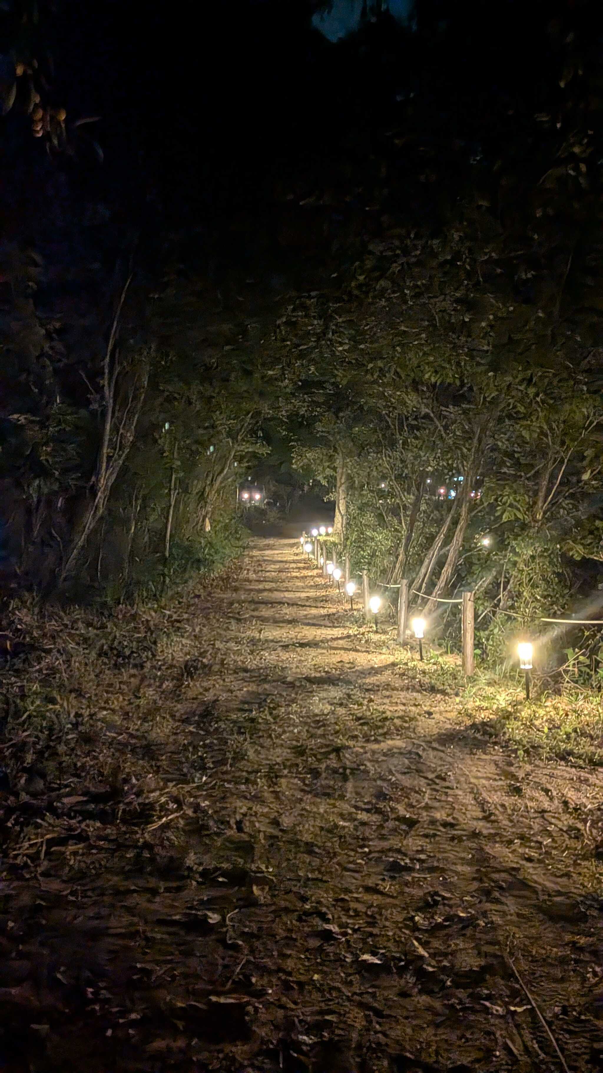 夜の風景